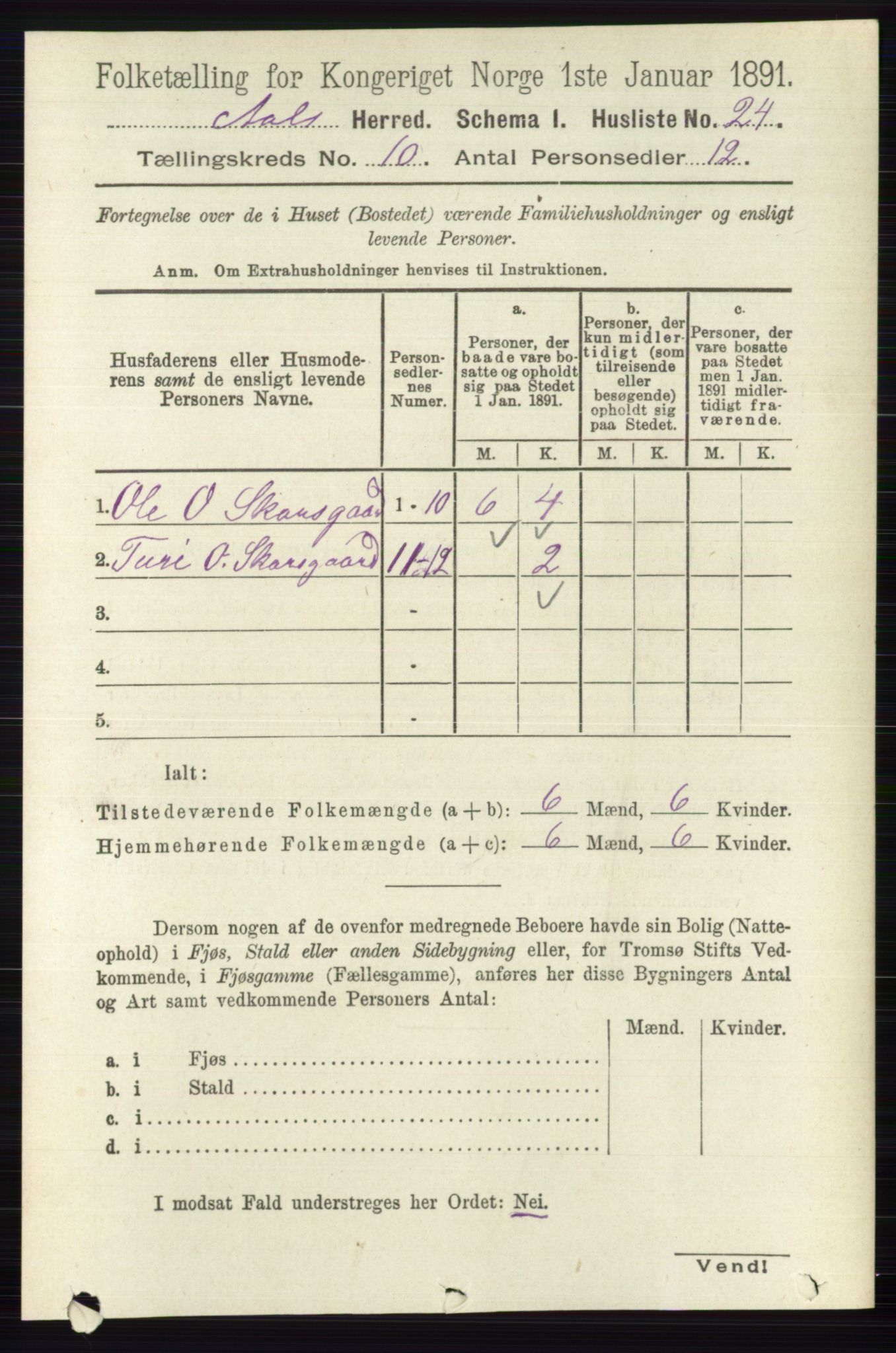 RA, 1891 census for 0619 Ål, 1891, p. 2685