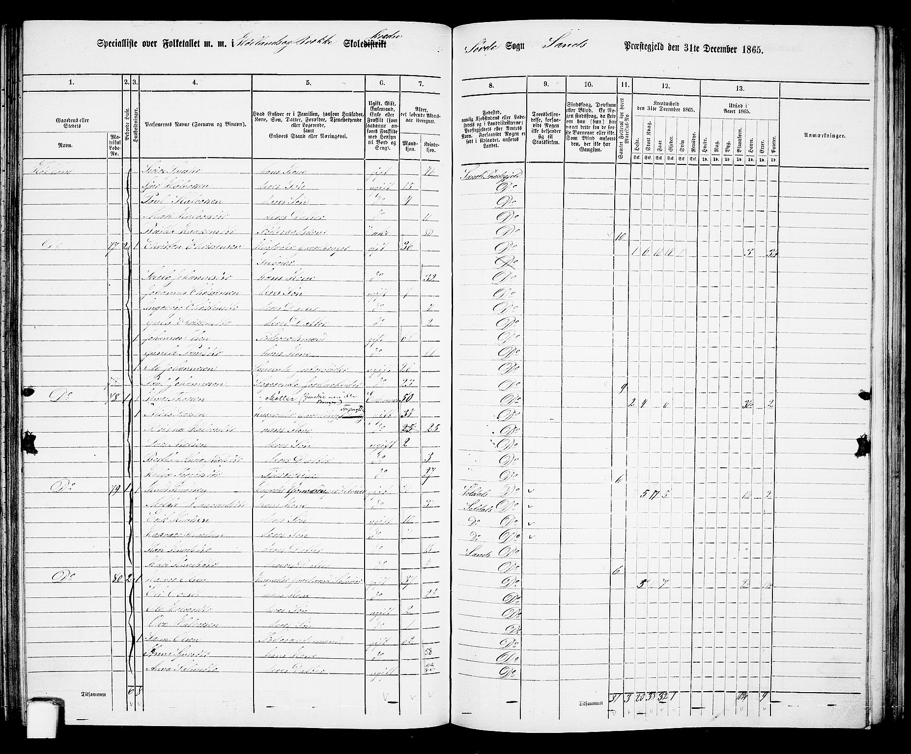 RA, 1865 census for Sand, 1865, p. 111