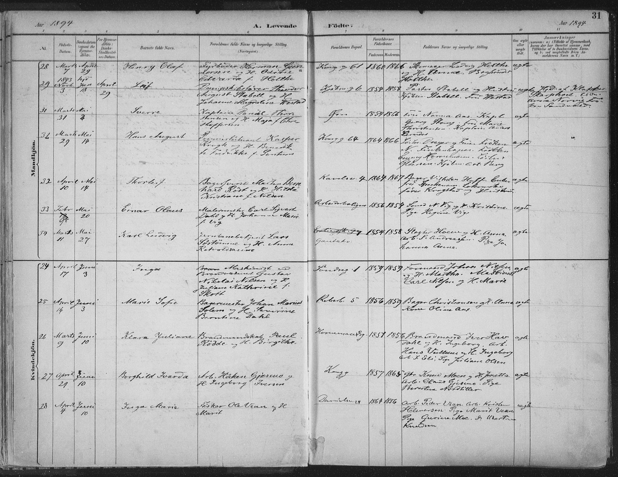 Ministerialprotokoller, klokkerbøker og fødselsregistre - Sør-Trøndelag, AV/SAT-A-1456/601/L0062: Parish register (official) no. 601A30, 1891-1911, p. 31