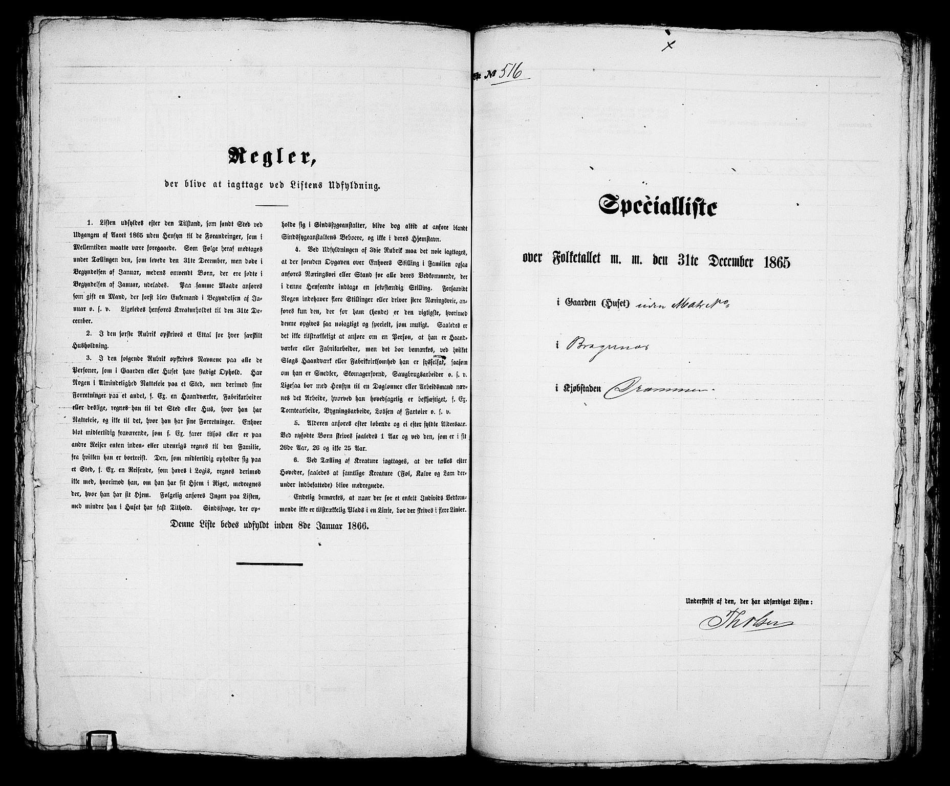 RA, 1865 census for Bragernes in Drammen, 1865, p. 1075