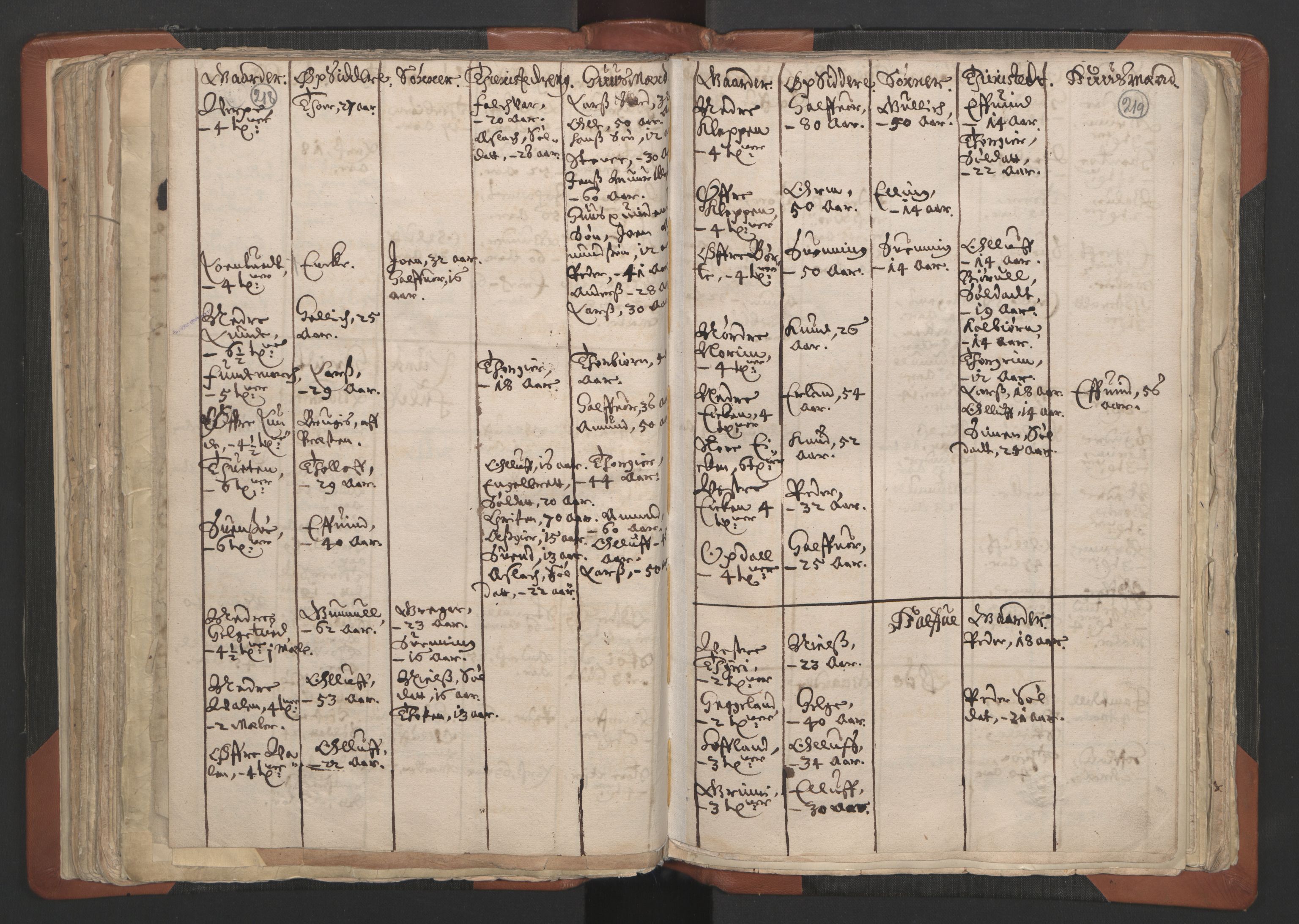 RA, Vicar's Census 1664-1666, no. 12: Øvre Telemark deanery, Nedre Telemark deanery and Bamble deanery, 1664-1666, p. 218-219