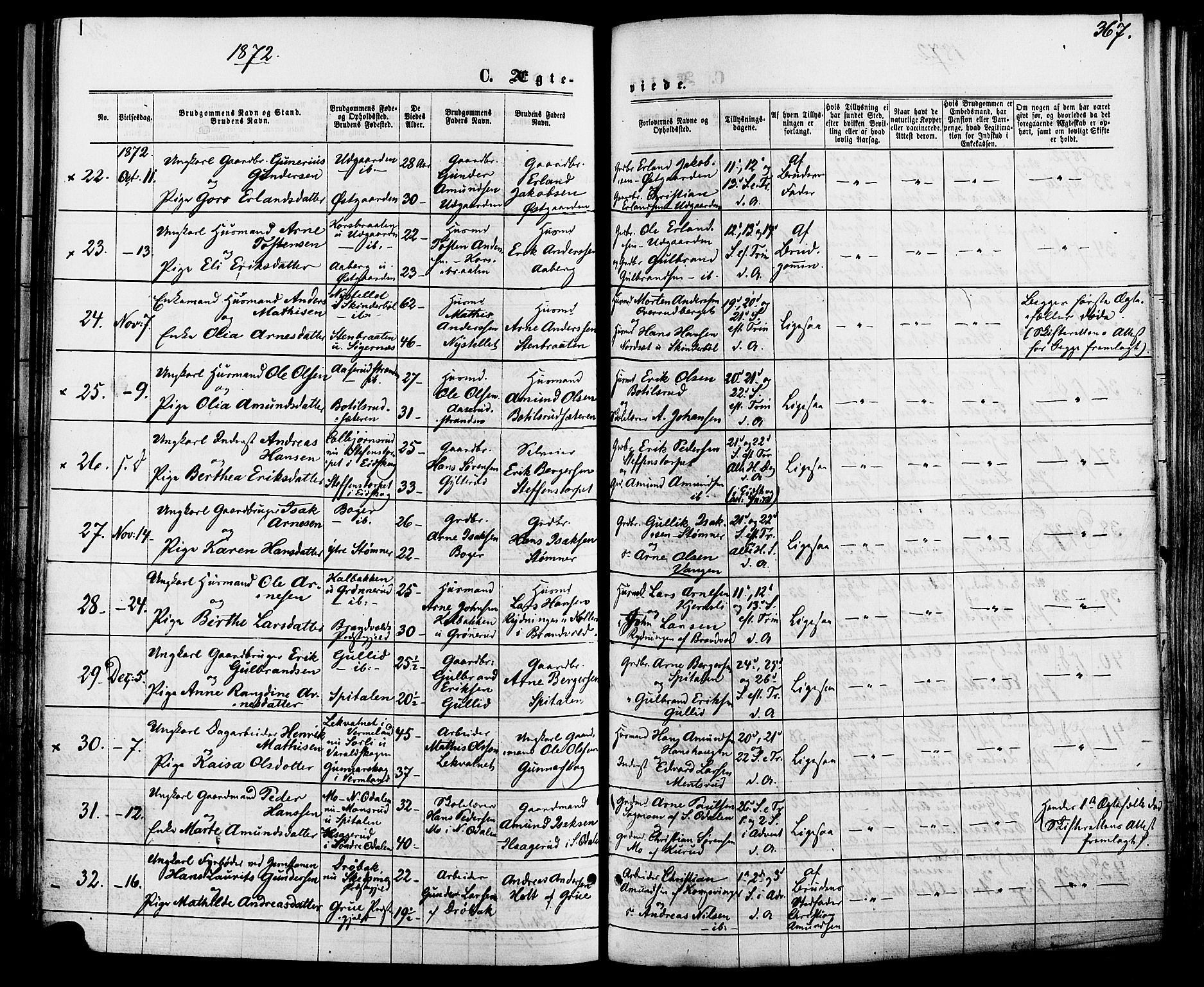 Vinger prestekontor, AV/SAH-PREST-024/H/Ha/Haa/L0012: Parish register (official) no. 12, 1871-1880, p. 367