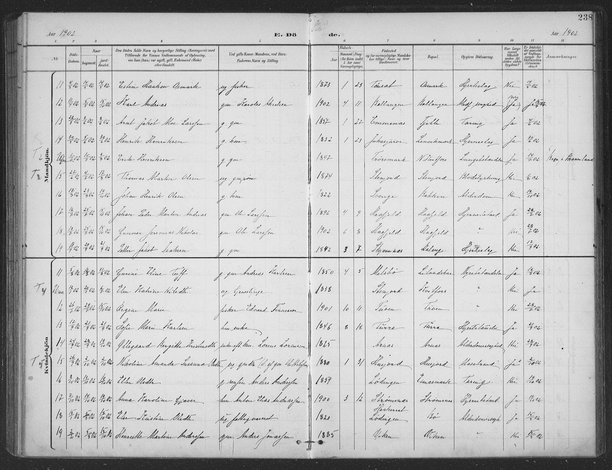 Ministerialprotokoller, klokkerbøker og fødselsregistre - Nordland, SAT/A-1459/863/L0899: Parish register (official) no. 863A11, 1897-1906, p. 238