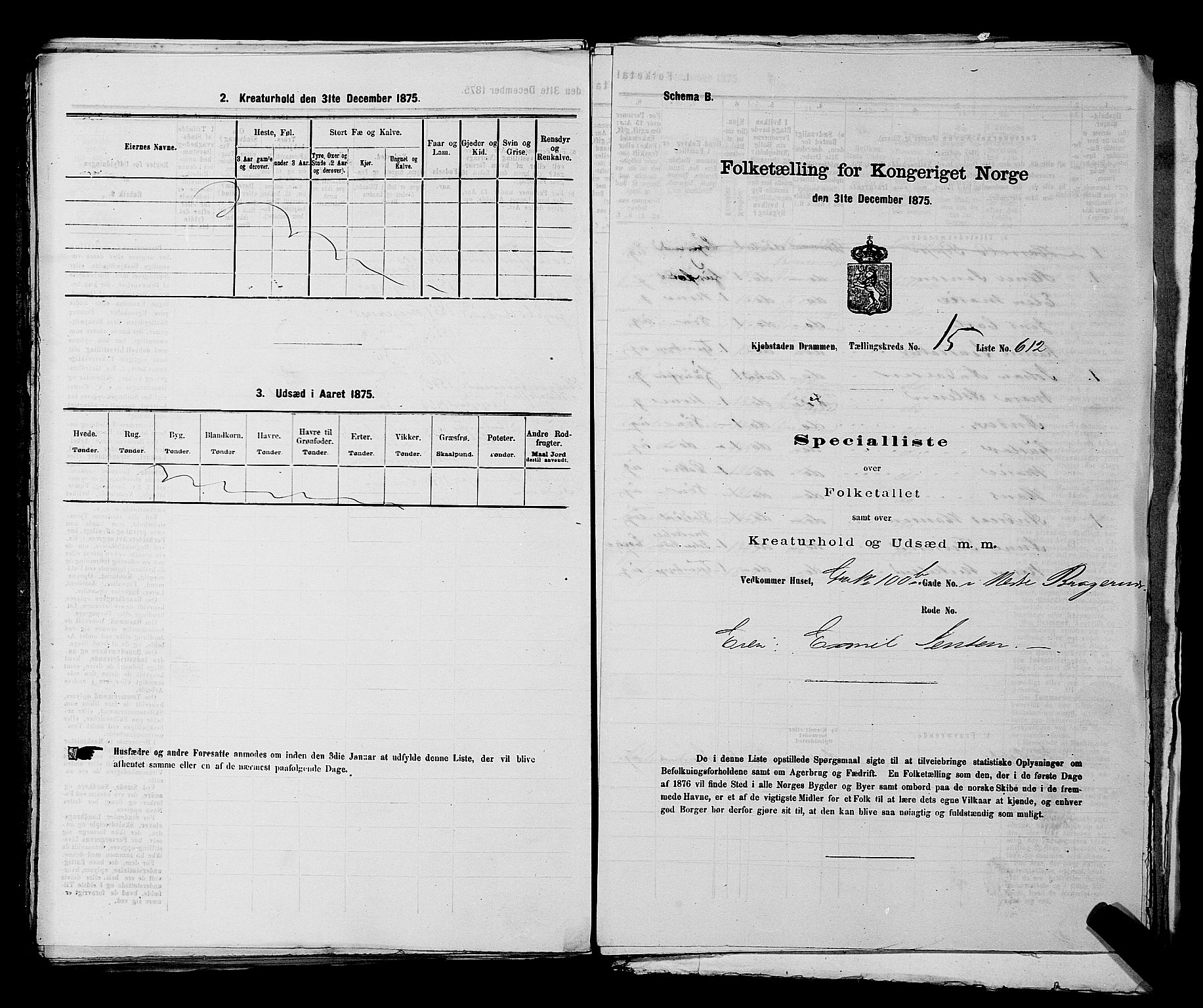 SAKO, 1875 census for 0602 Drammen, 1875, p. 1737