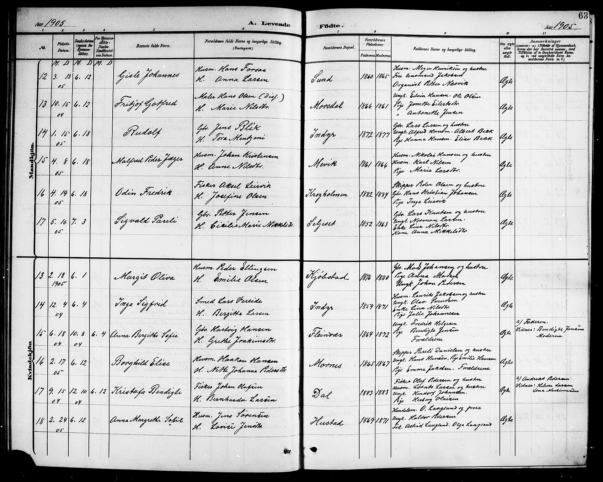 Ministerialprotokoller, klokkerbøker og fødselsregistre - Nordland, AV/SAT-A-1459/805/L0109: Parish register (copy) no. 805C05, 1900-1911, p. 63