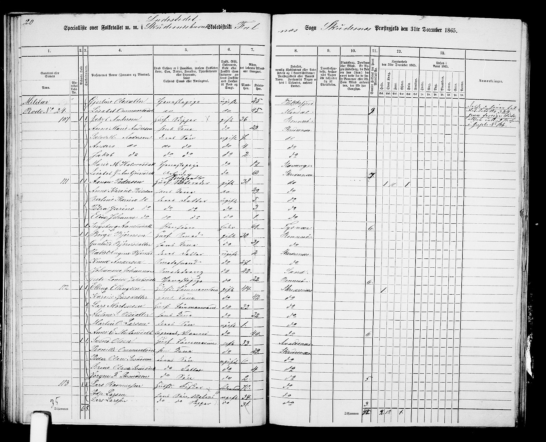 RA, 1865 census for Skudenes, 1865, p. 232