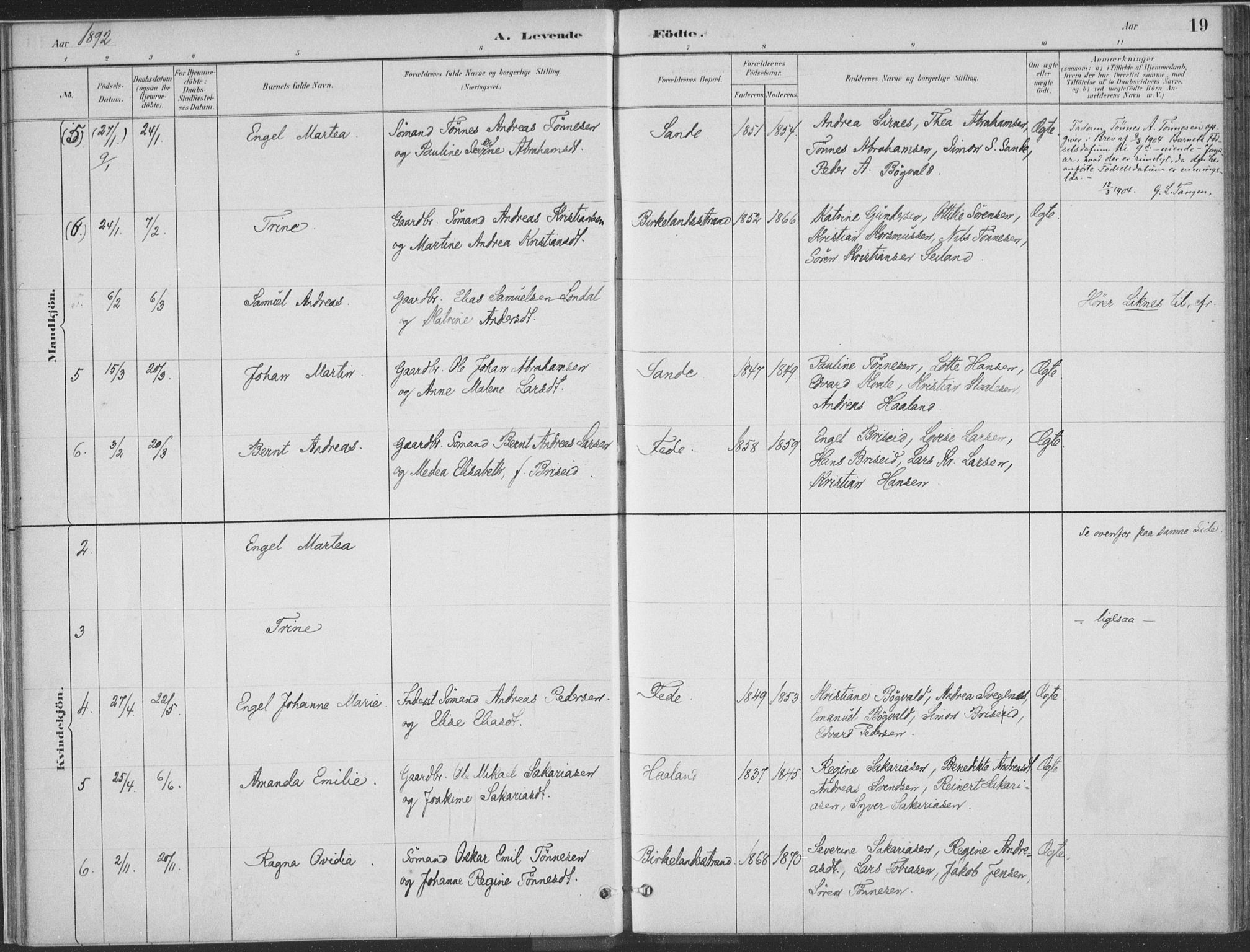 Kvinesdal sokneprestkontor, AV/SAK-1111-0026/F/Fa/Faa/L0004: Parish register (official) no. A 4, 1882-1897, p. 19