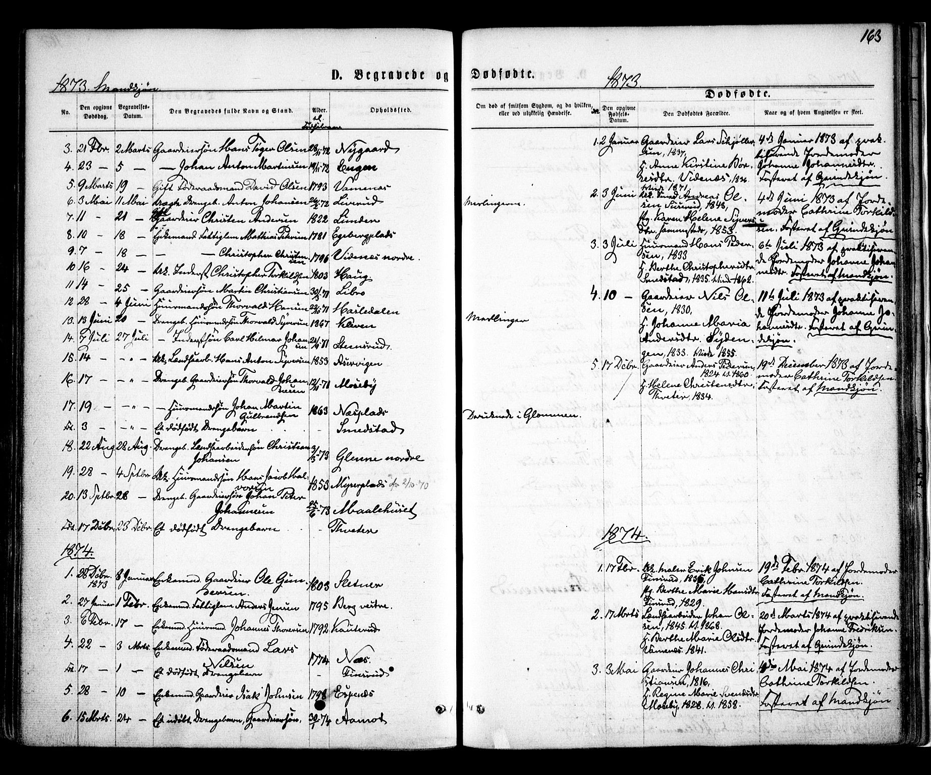 Skiptvet prestekontor Kirkebøker, AV/SAO-A-20009/F/Fa/L0008: Parish register (official) no. 8, 1867-1877, p. 163