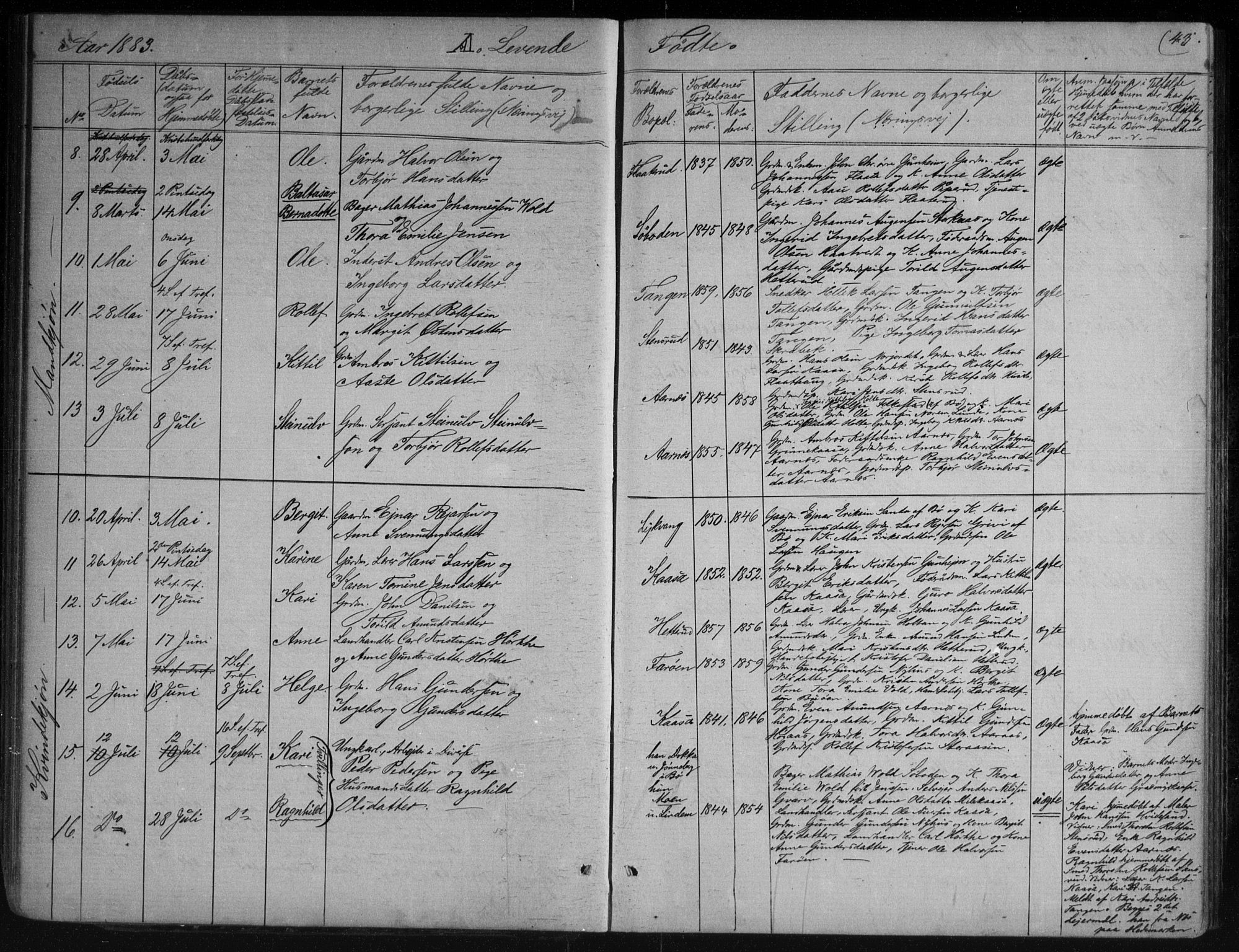 Sauherad kirkebøker, AV/SAKO-A-298/G/Gb/L0002: Parish register (copy) no. II 2, 1866-1897, p. 43