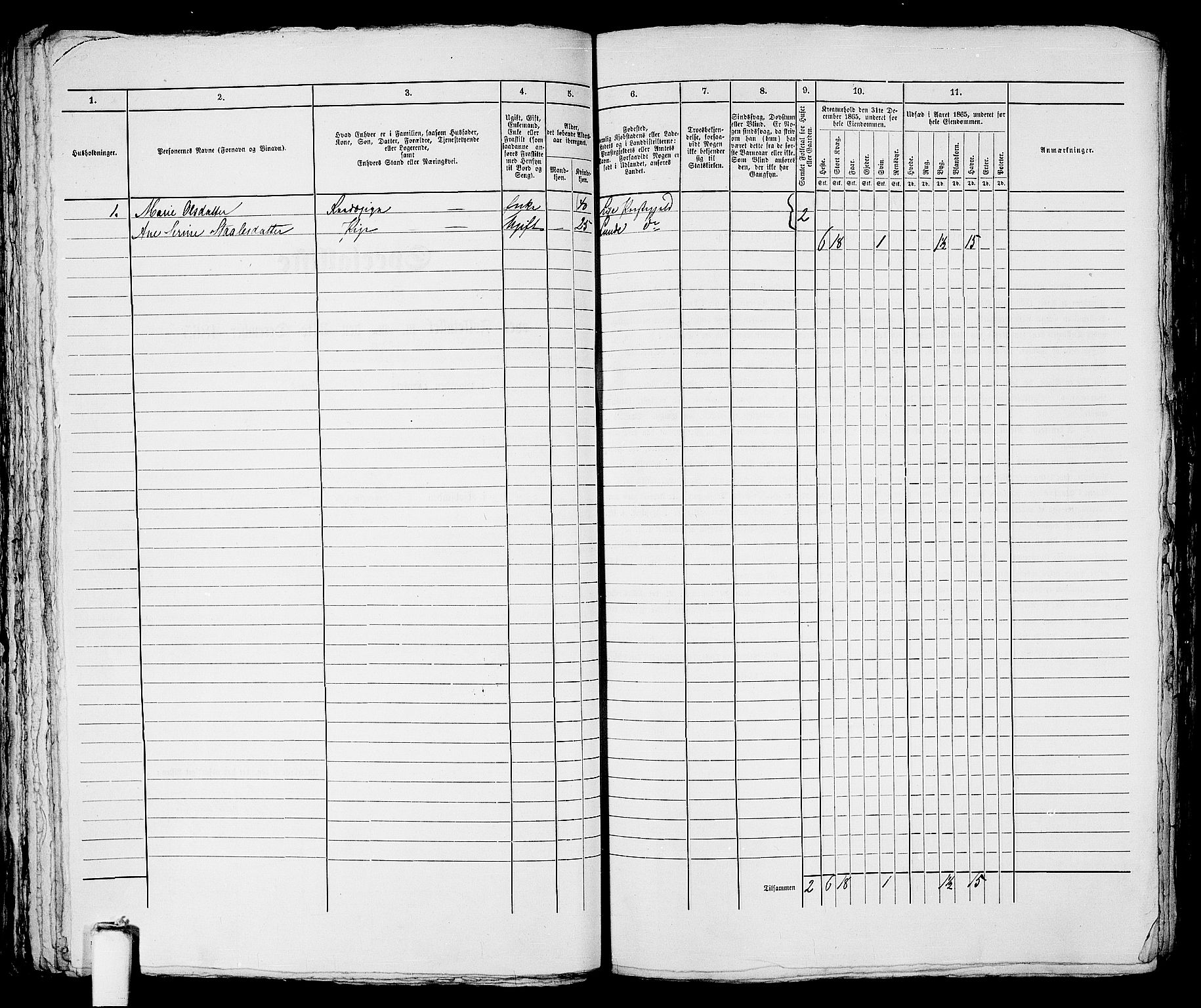 RA, 1865 census for Stavanger, 1865, p. 1198