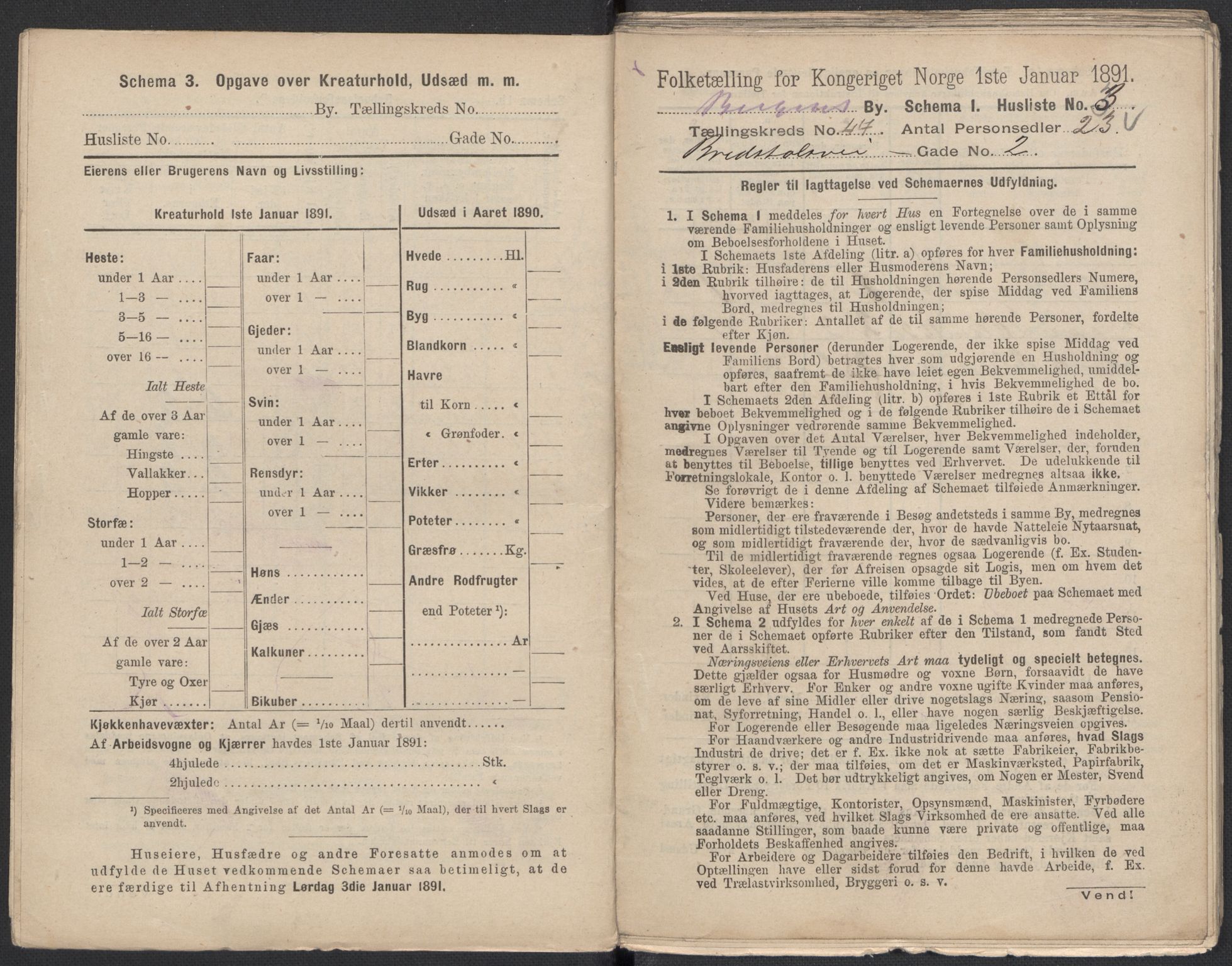 RA, 1891 Census for 1301 Bergen, 1891, p. 7337