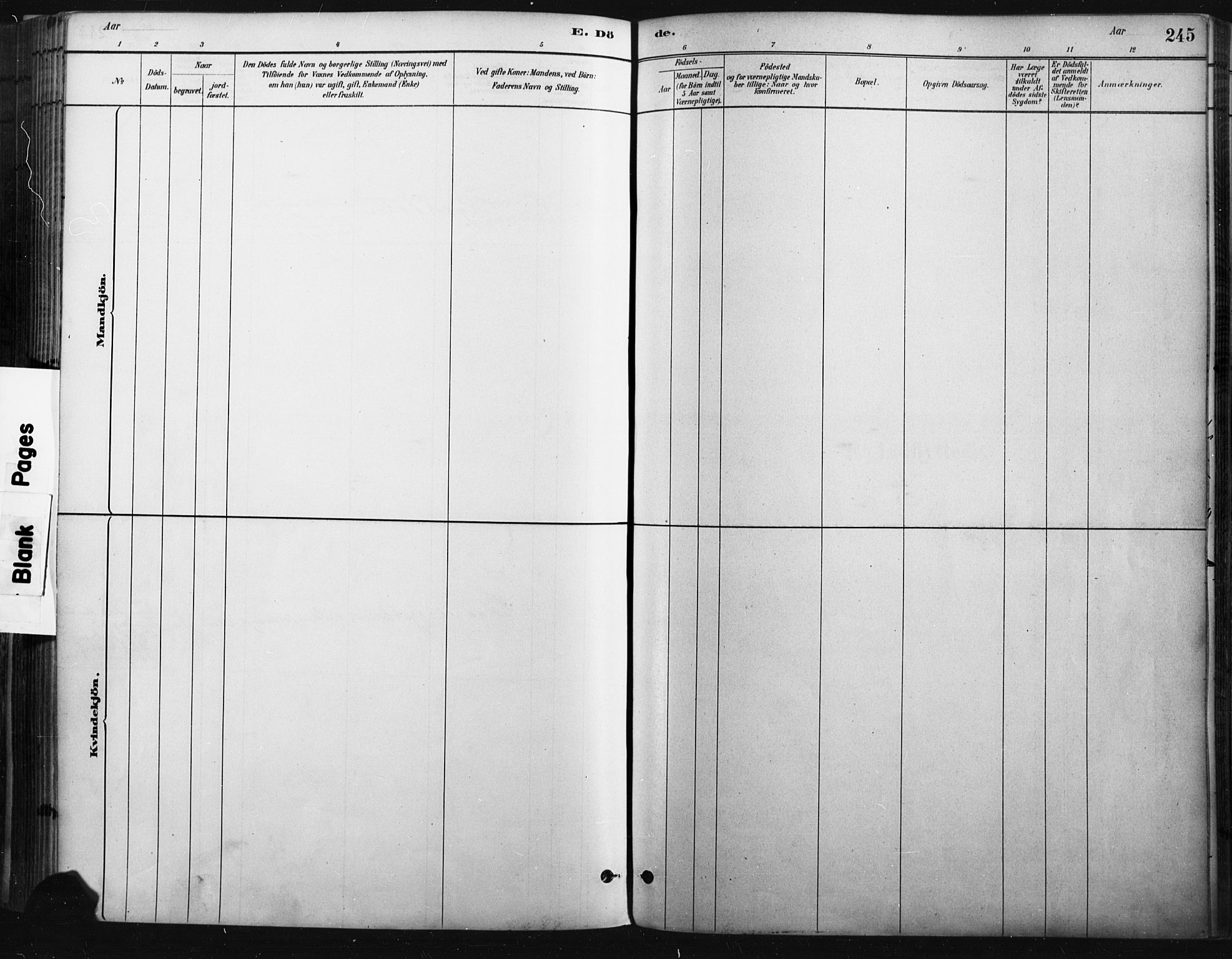 Trysil prestekontor, SAH/PREST-046/H/Ha/Haa/L0009: Parish register (official) no. 9, 1881-1897, p. 245