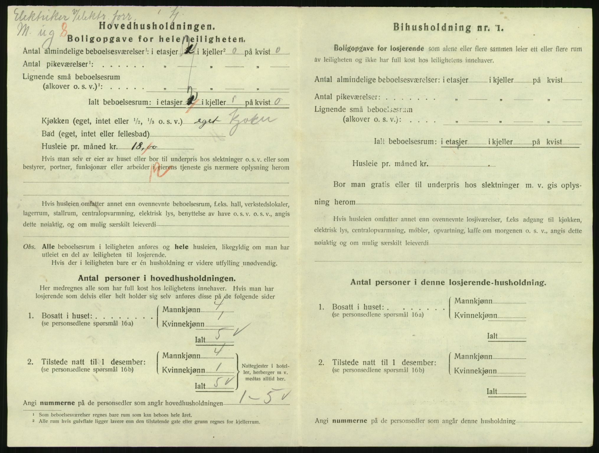 SAKO, 1920 census for Hønefoss, 1920, p. 2121