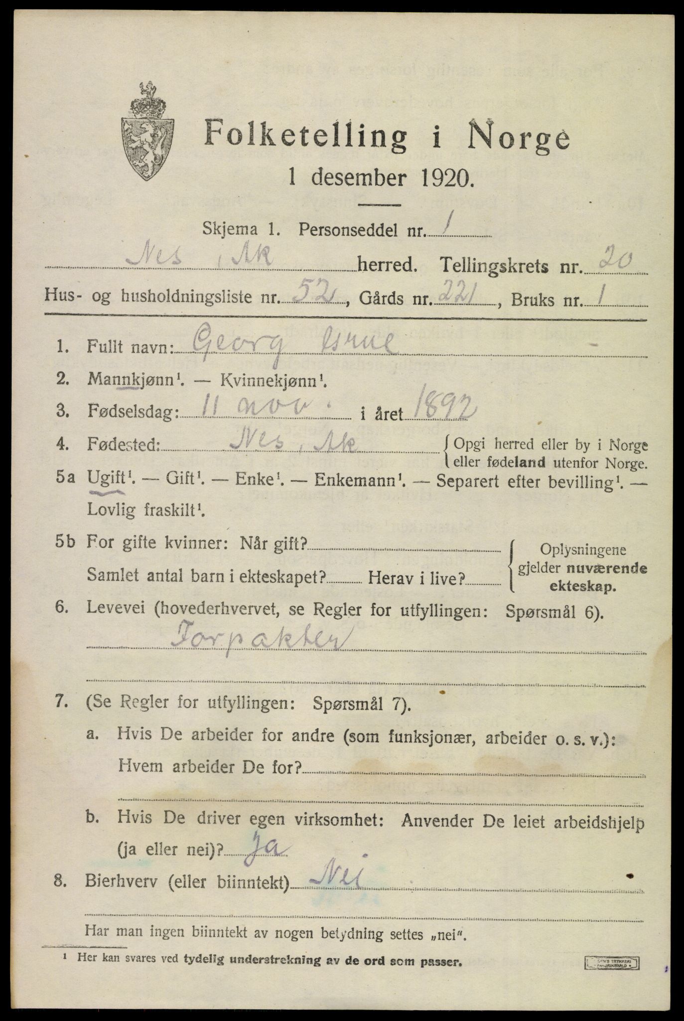 SAO, 1920 census for Nes, 1920, p. 21920