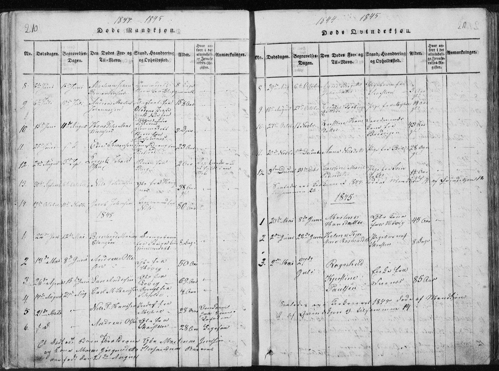 Ministerialprotokoller, klokkerbøker og fødselsregistre - Nordland, AV/SAT-A-1459/897/L1411: Parish register (copy) no. 897C01, 1820-1866, p. 210-211