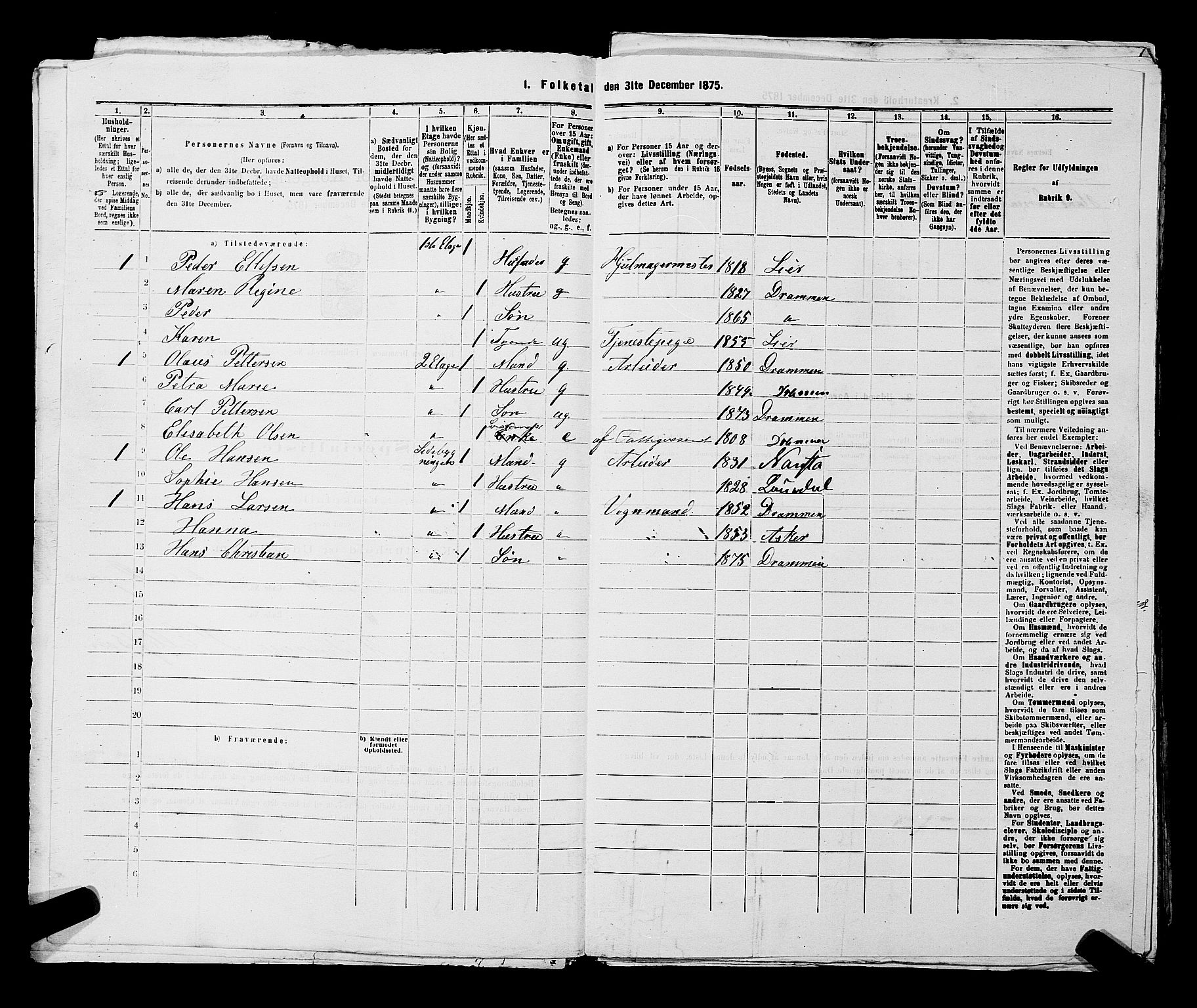 SAKO, 1875 census for 0602 Drammen, 1875, p. 1500