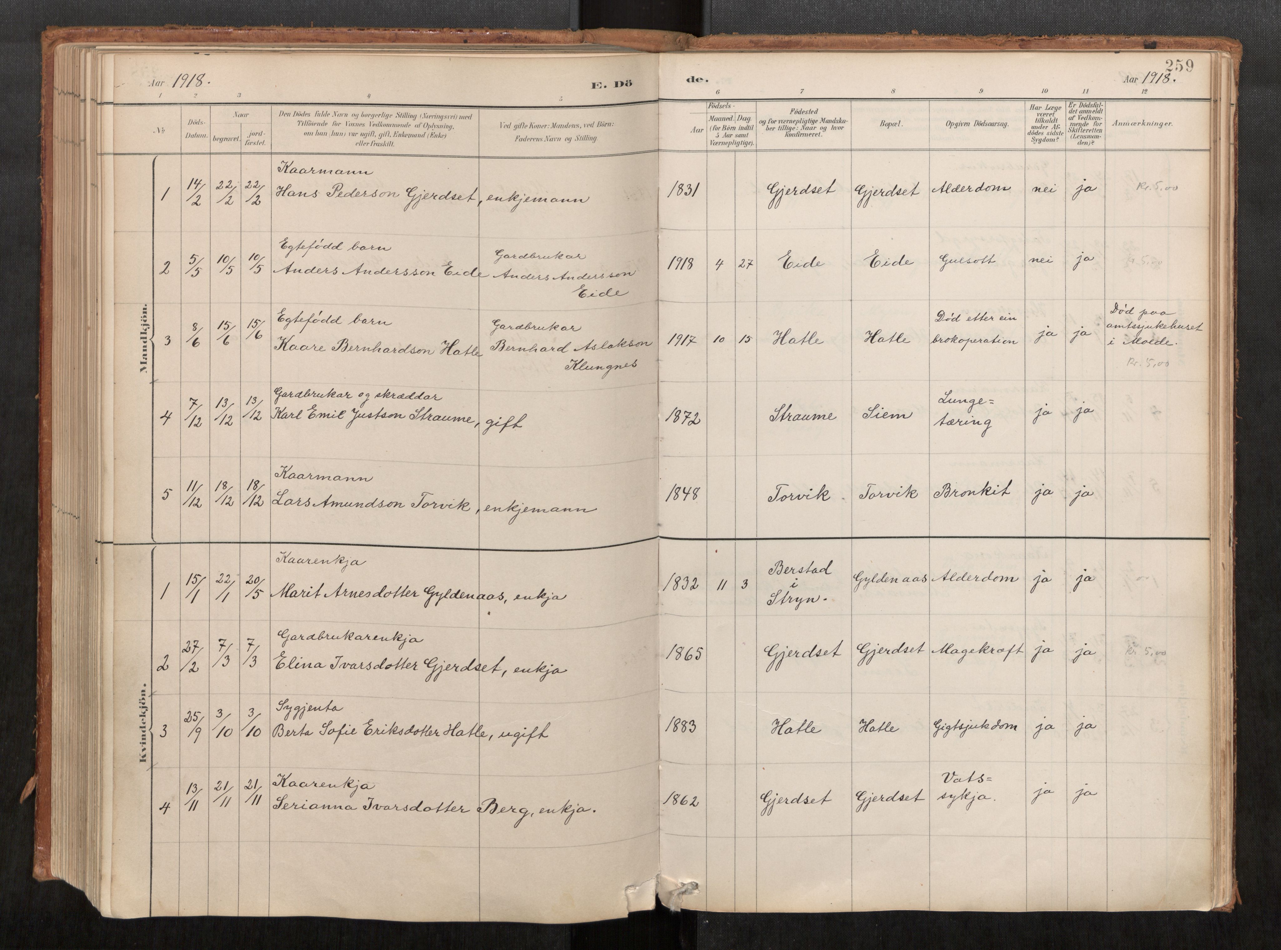 Ministerialprotokoller, klokkerbøker og fødselsregistre - Møre og Romsdal, AV/SAT-A-1454/542/L0553: Parish register (official) no. 542A03, 1885-1925, p. 259