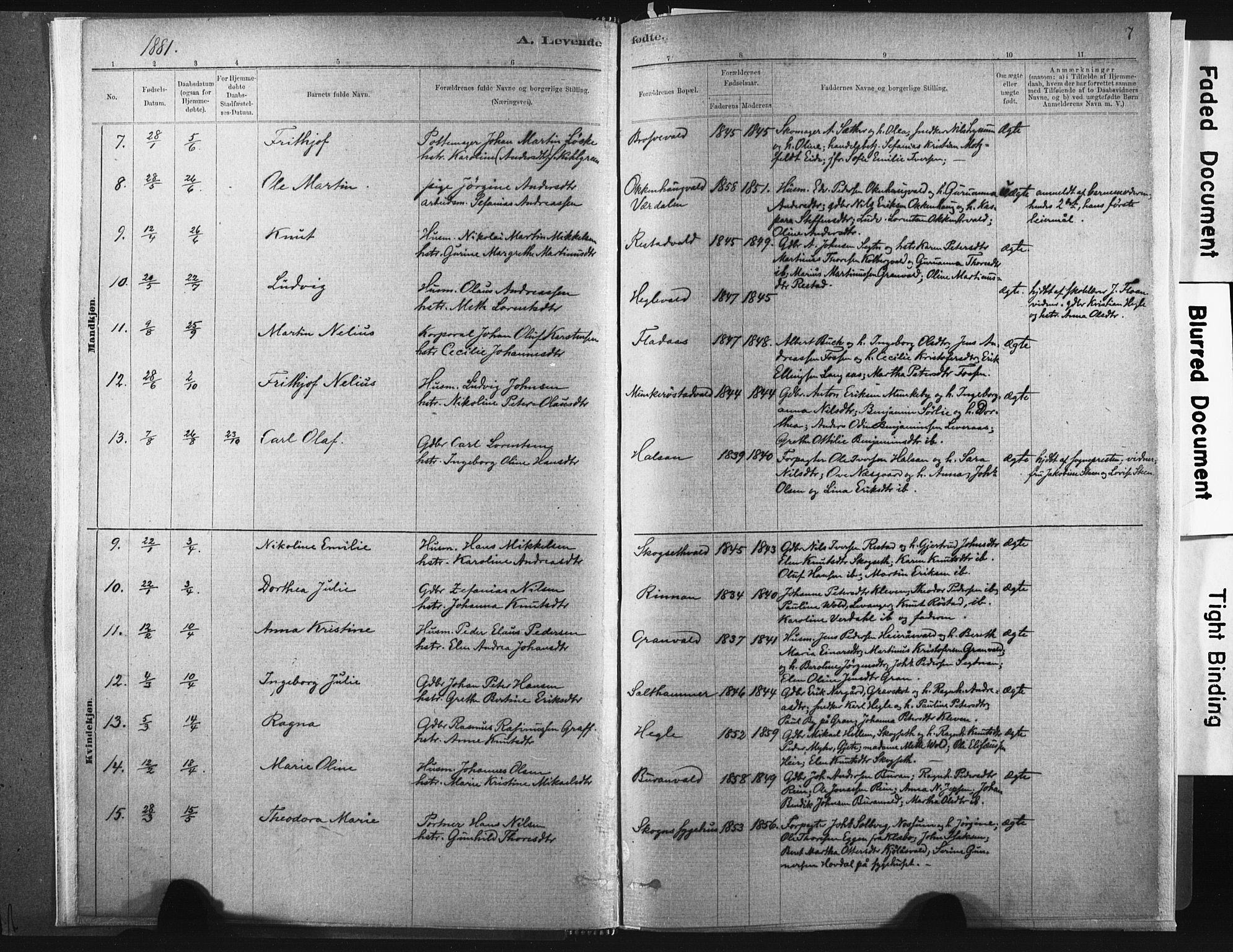 Ministerialprotokoller, klokkerbøker og fødselsregistre - Nord-Trøndelag, SAT/A-1458/721/L0207: Parish register (official) no. 721A02, 1880-1911, p. 7