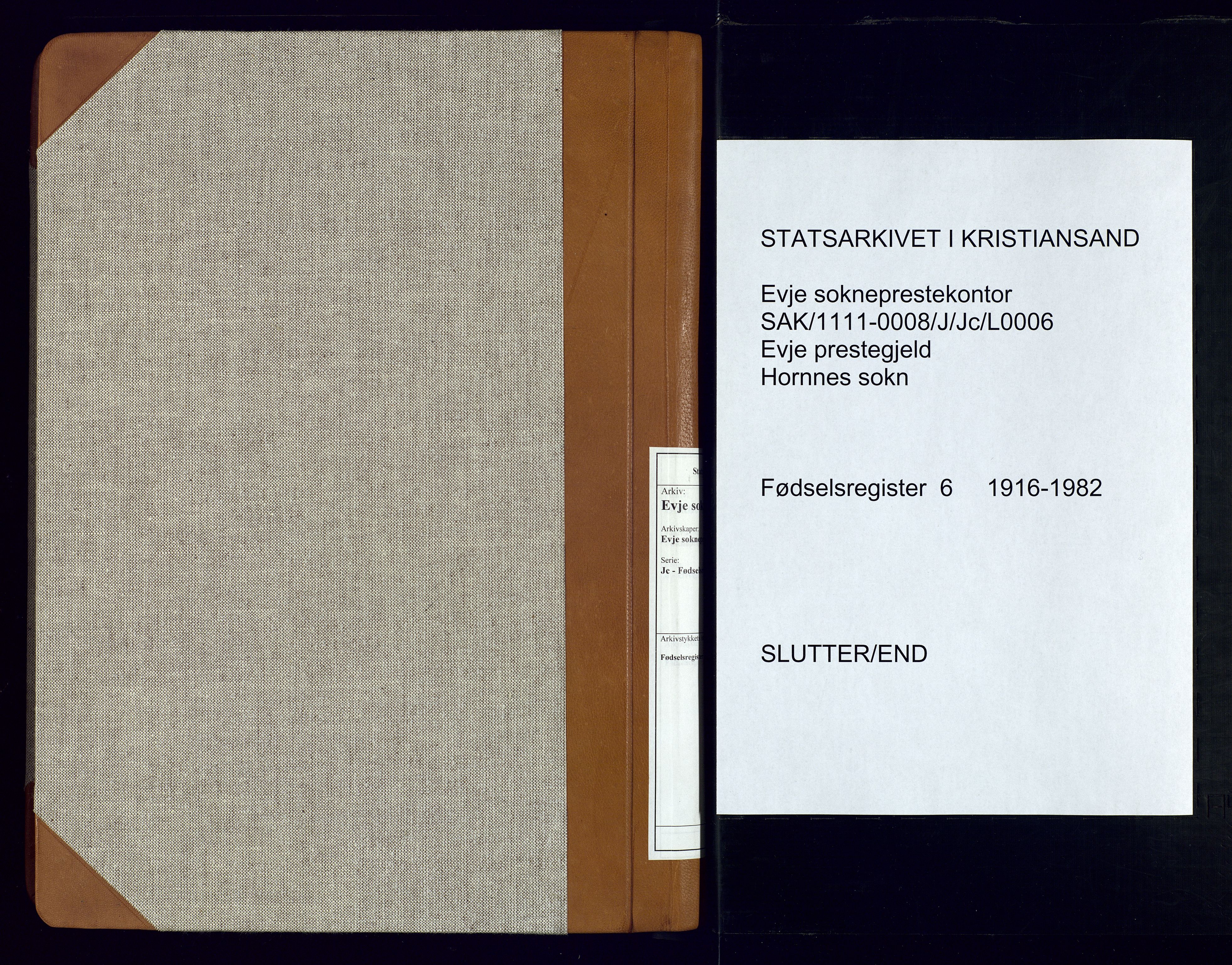 Evje sokneprestkontor, AV/SAK-1111-0008/J/Jc/L0006: Birth register no. 6, 1916-1982