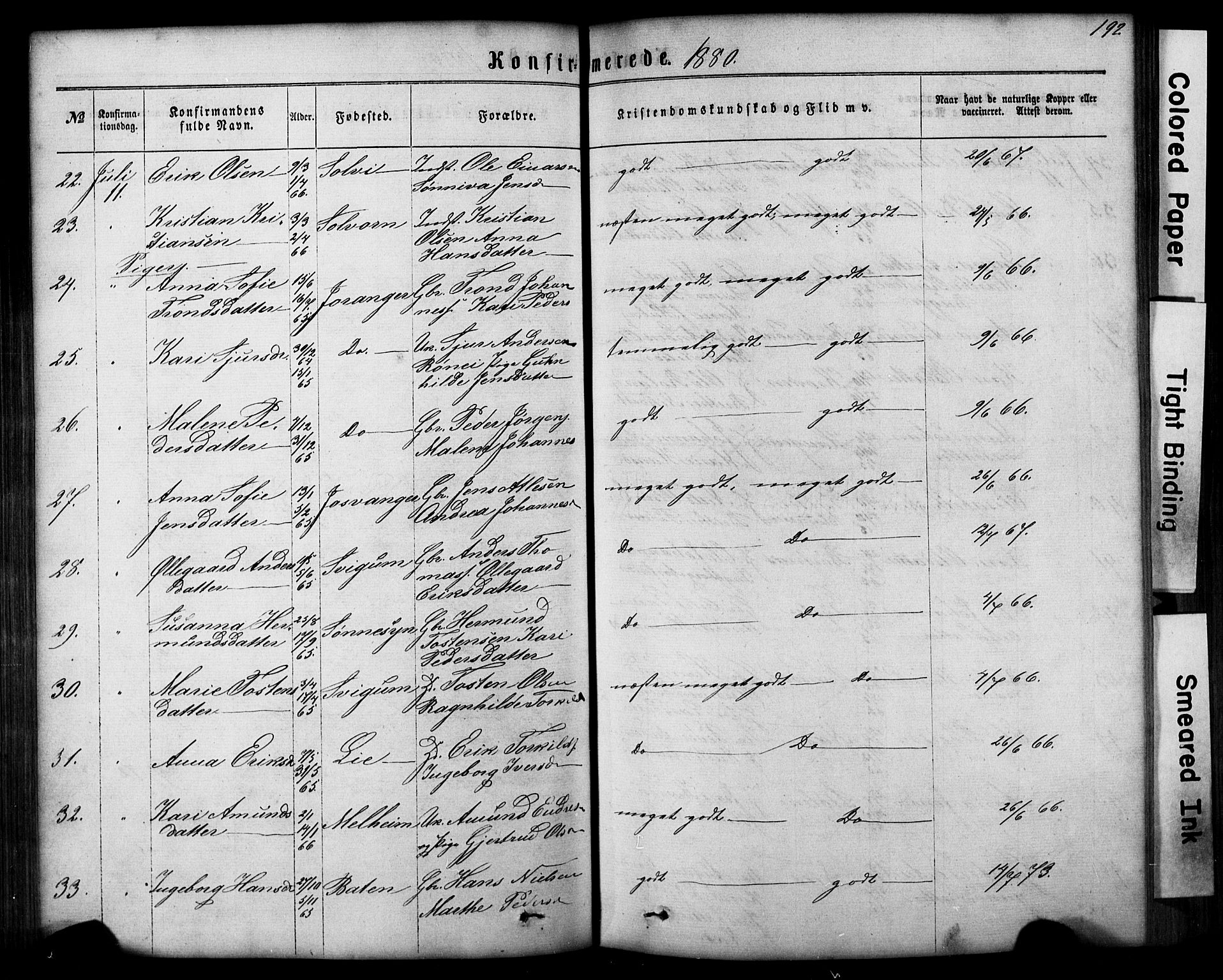 Hafslo sokneprestembete, AV/SAB-A-80301/H/Hab/Haba/L0001: Parish register (copy) no. A 1, 1866-1908, p. 192