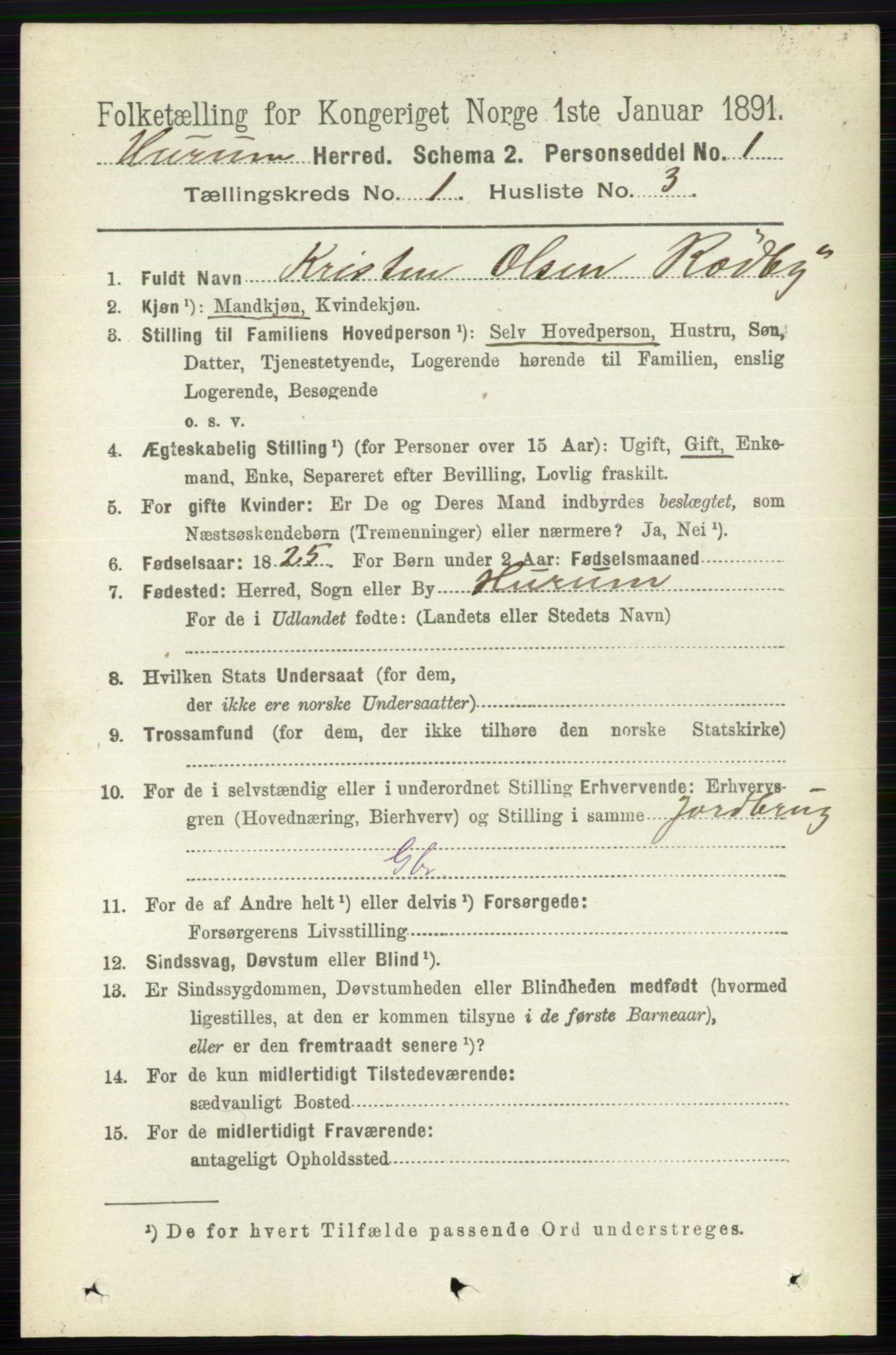 RA, 1891 census for 0628 Hurum, 1891, p. 95