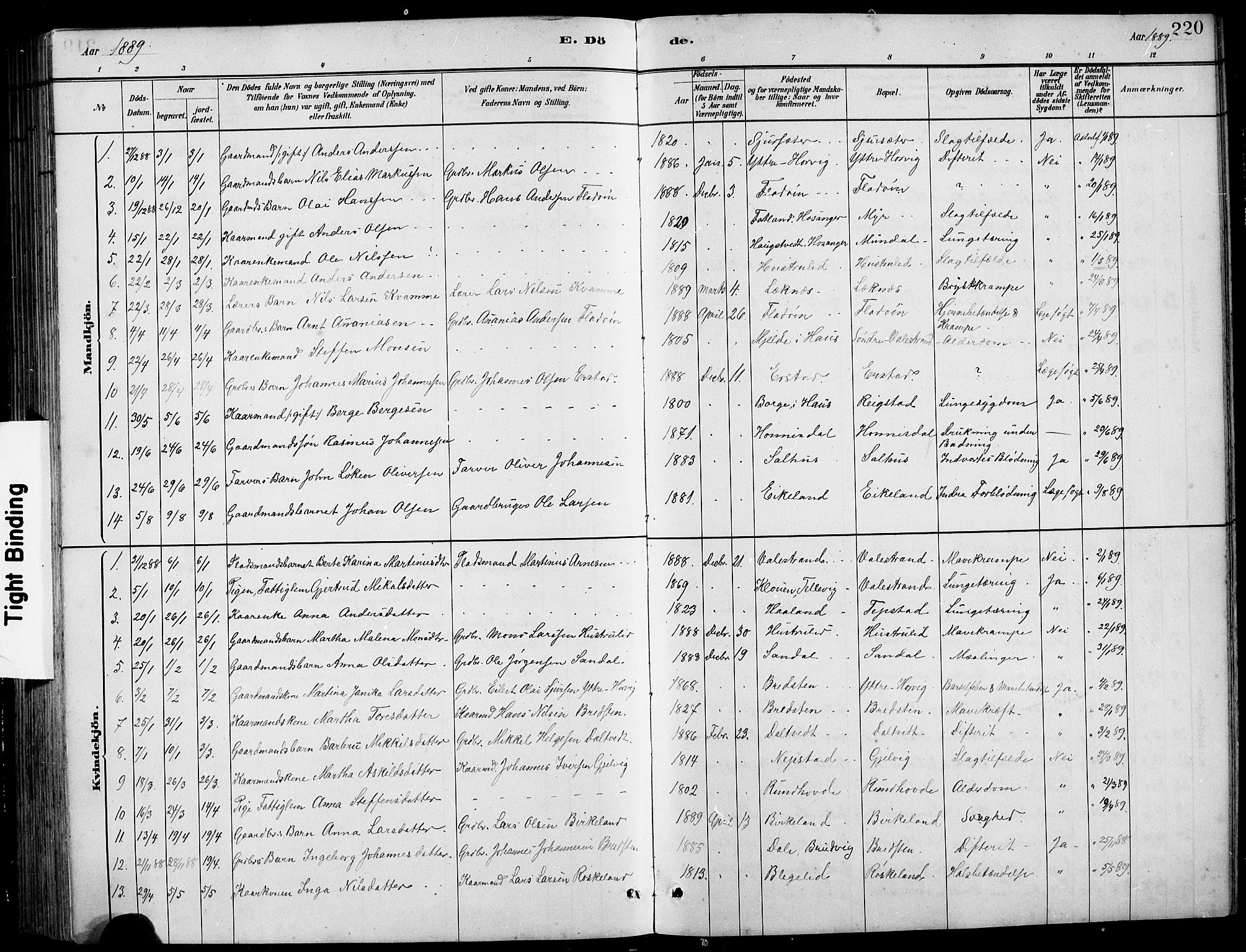 Hamre sokneprestembete, SAB/A-75501/H/Ha/Hab: Parish register (copy) no. B 3, 1881-1898, p. 220