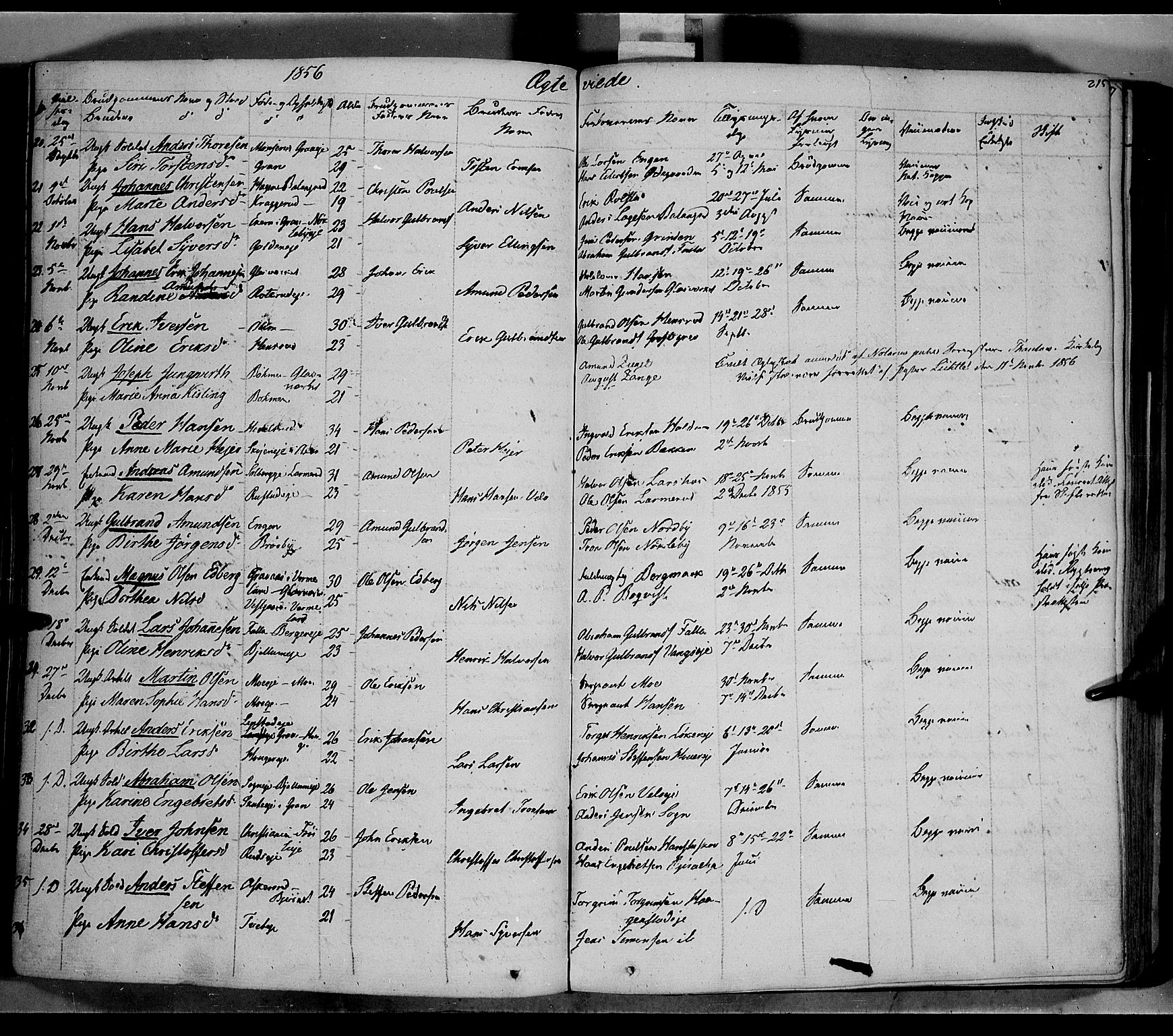 Jevnaker prestekontor, AV/SAH-PREST-116/H/Ha/Haa/L0006: Parish register (official) no. 6, 1837-1857, p. 215