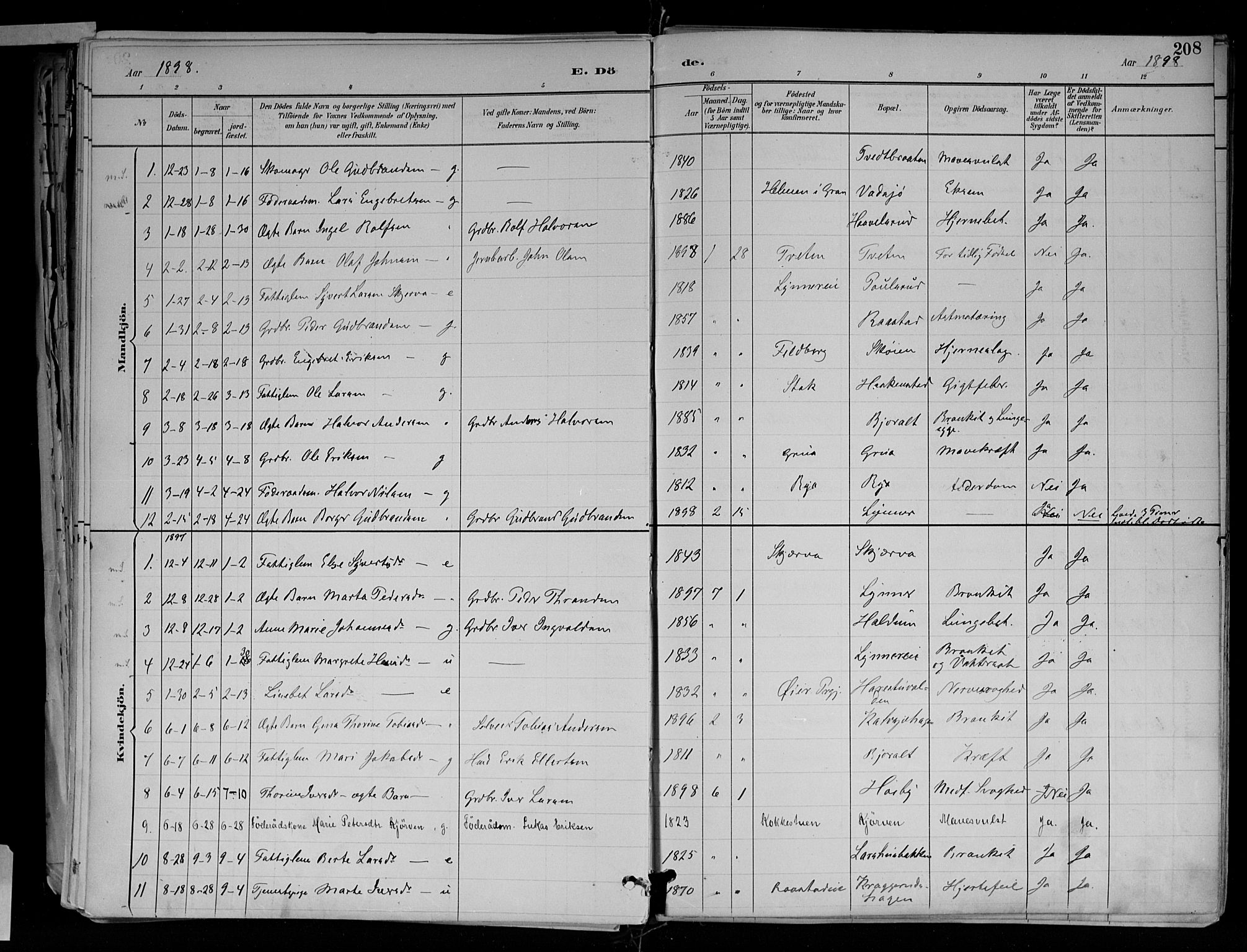 Jevnaker prestekontor, SAH/PREST-116/H/Ha/Haa/L0010: Parish register (official) no. 10, 1891-1906, p. 208