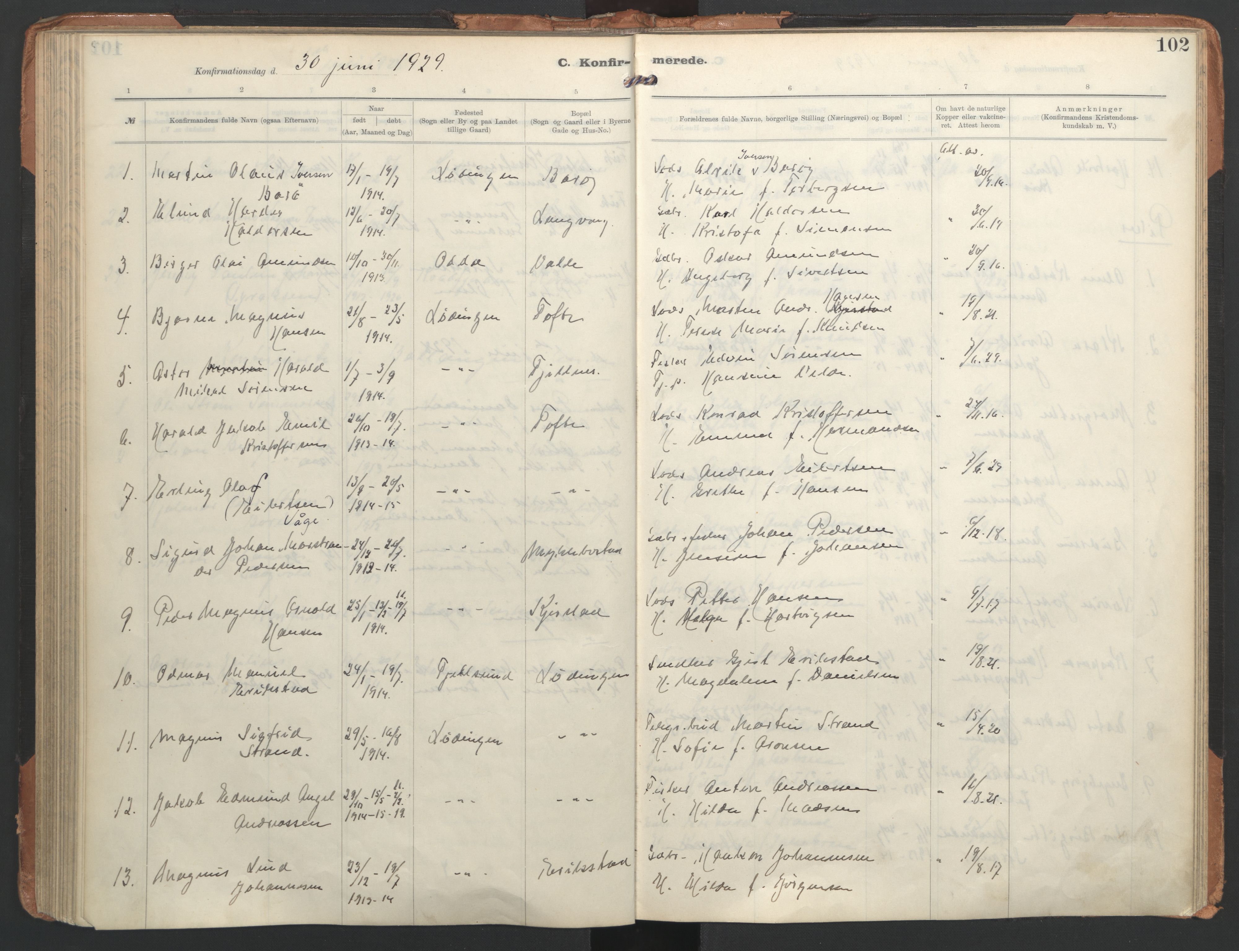 Ministerialprotokoller, klokkerbøker og fødselsregistre - Nordland, AV/SAT-A-1459/872/L1042: Parish register (official) no. 872A17, 1910-1937, p. 102