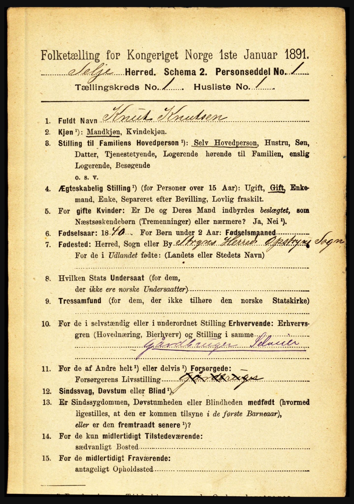 RA, 1891 census for 1441 Selje, 1891, p. 95