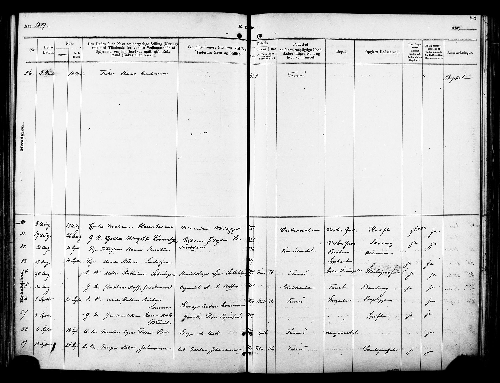 Tromsø sokneprestkontor/stiftsprosti/domprosti, SATØ/S-1343/G/Ga/L0014kirke: Parish register (official) no. 14, 1878-1888, p. 88