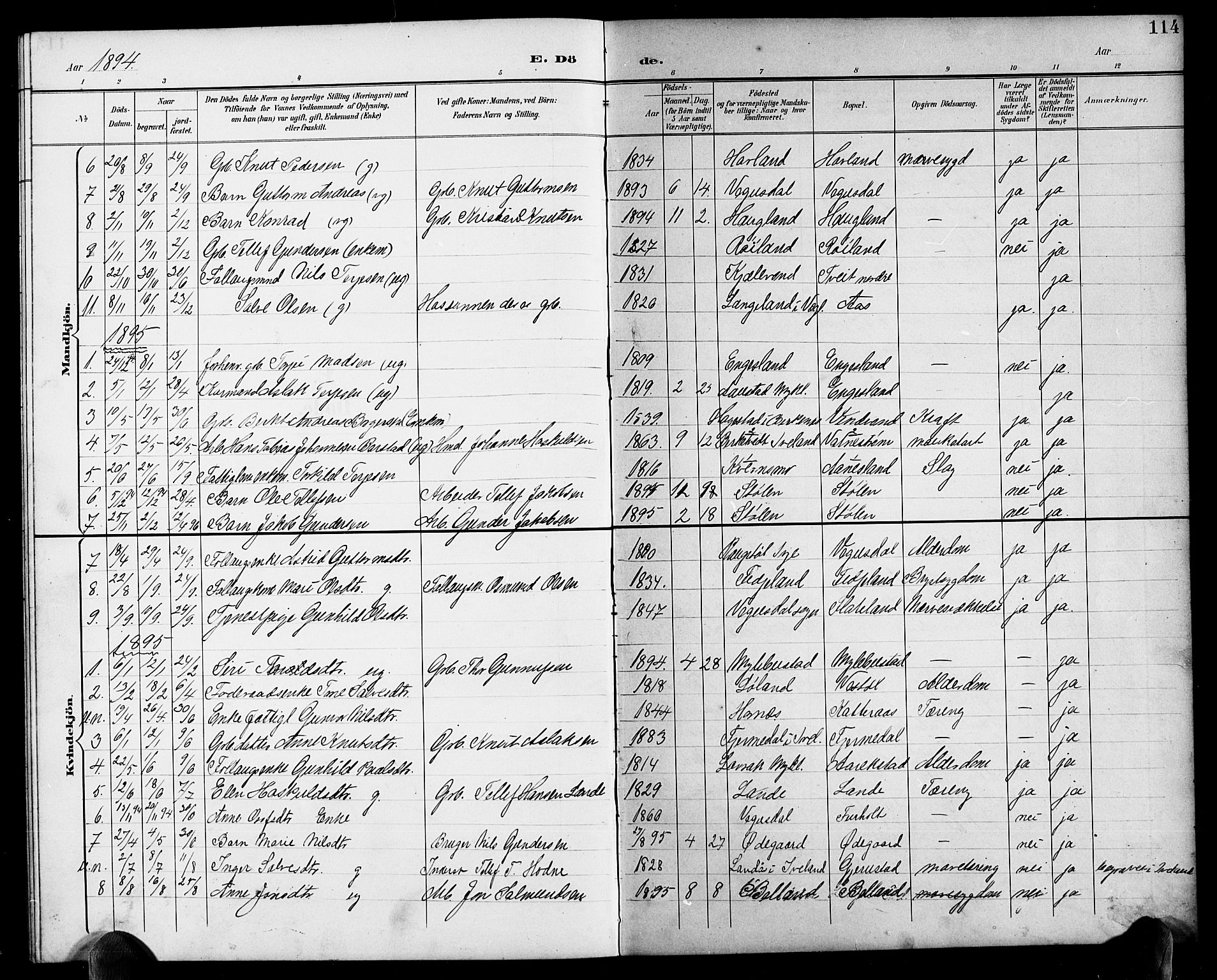 Herefoss sokneprestkontor, SAK/1111-0019/F/Fb/Fbb/L0003: Parish register (copy) no. B 3, 1892-1917, p. 114