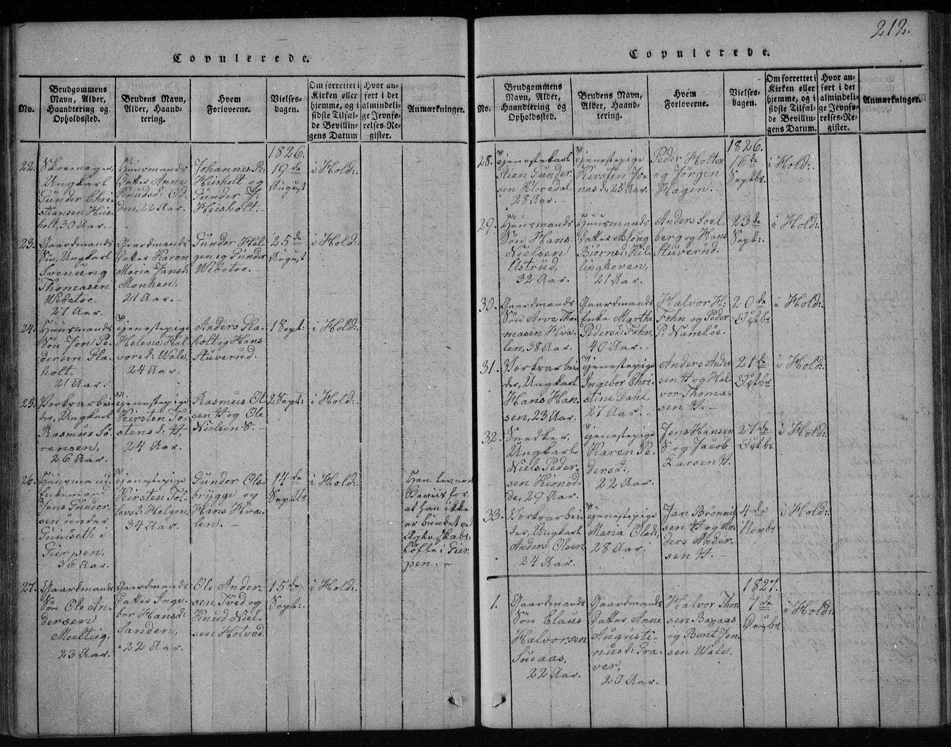 Holla kirkebøker, SAKO/A-272/F/Fa/L0003: Parish register (official) no. 3, 1815-1830, p. 212