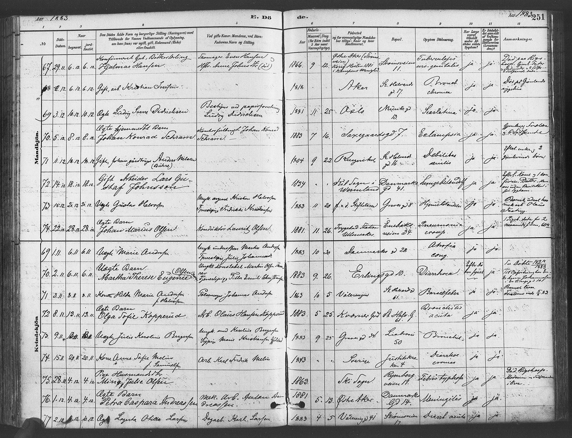 Gamlebyen prestekontor Kirkebøker, SAO/A-10884/F/Fa/L0006: Parish register (official) no. 6, 1881-1890, p. 251