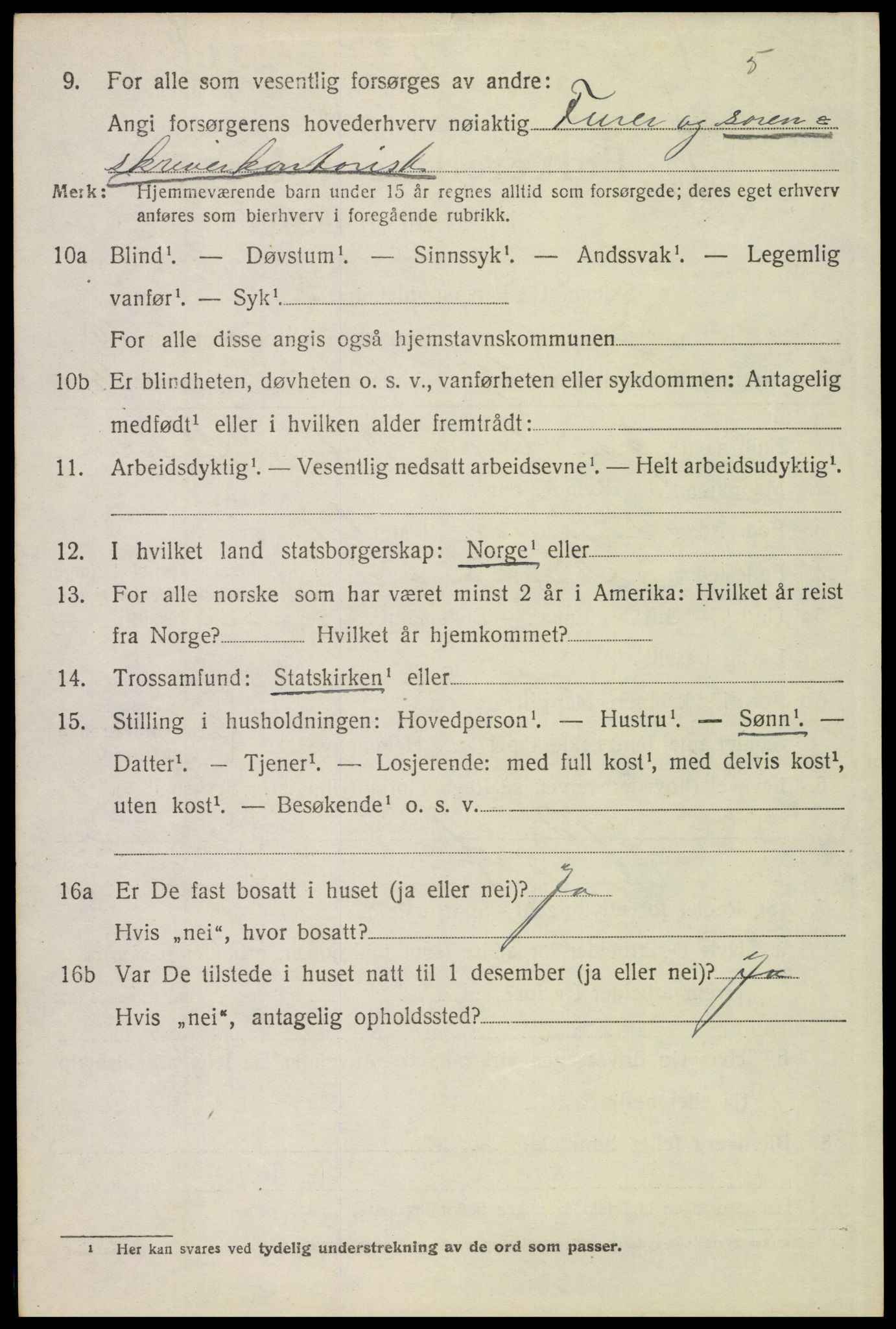 SAH, 1920 census for Tynset, 1920, p. 7981