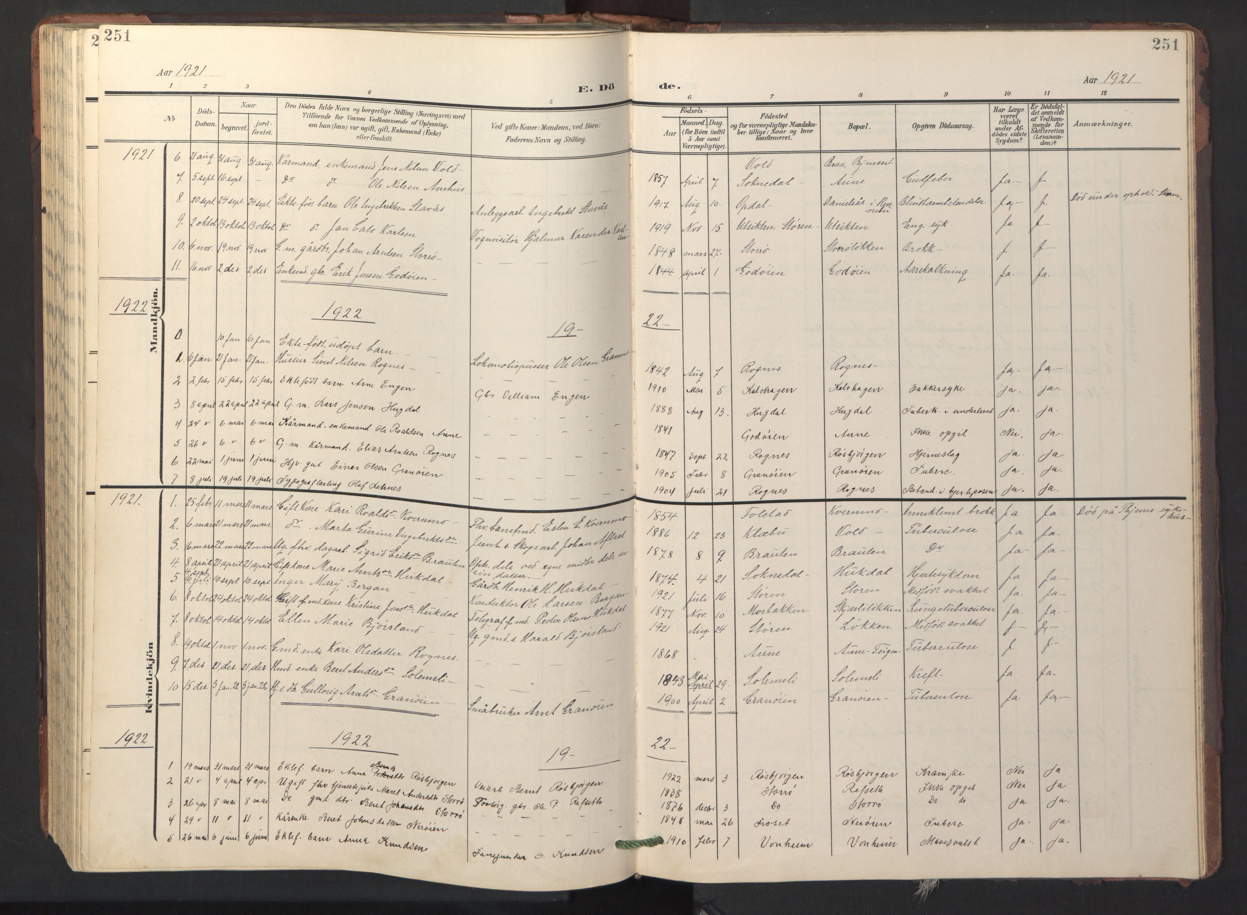 Ministerialprotokoller, klokkerbøker og fødselsregistre - Sør-Trøndelag, SAT/A-1456/687/L1019: Parish register (copy) no. 687C03, 1904-1931, p. 251