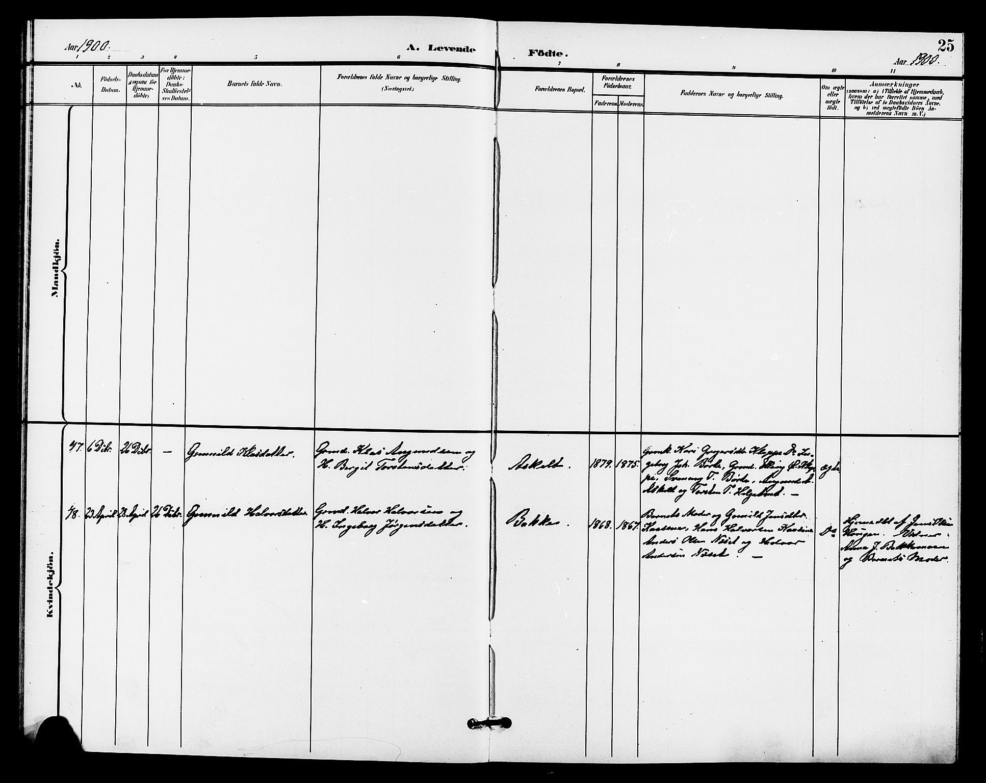 Bø kirkebøker, SAKO/A-257/G/Ga/L0006: Parish register (copy) no. 6, 1898-1909, p. 25