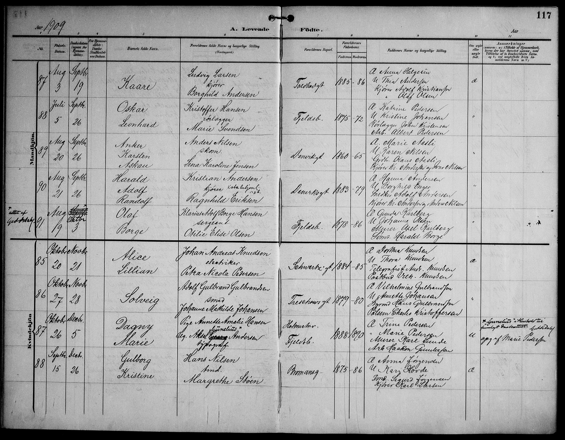 Strømsø kirkebøker, AV/SAKO-A-246/F/Fa/L0026: Parish register (official) no. I 26, 1905-1914, p. 117