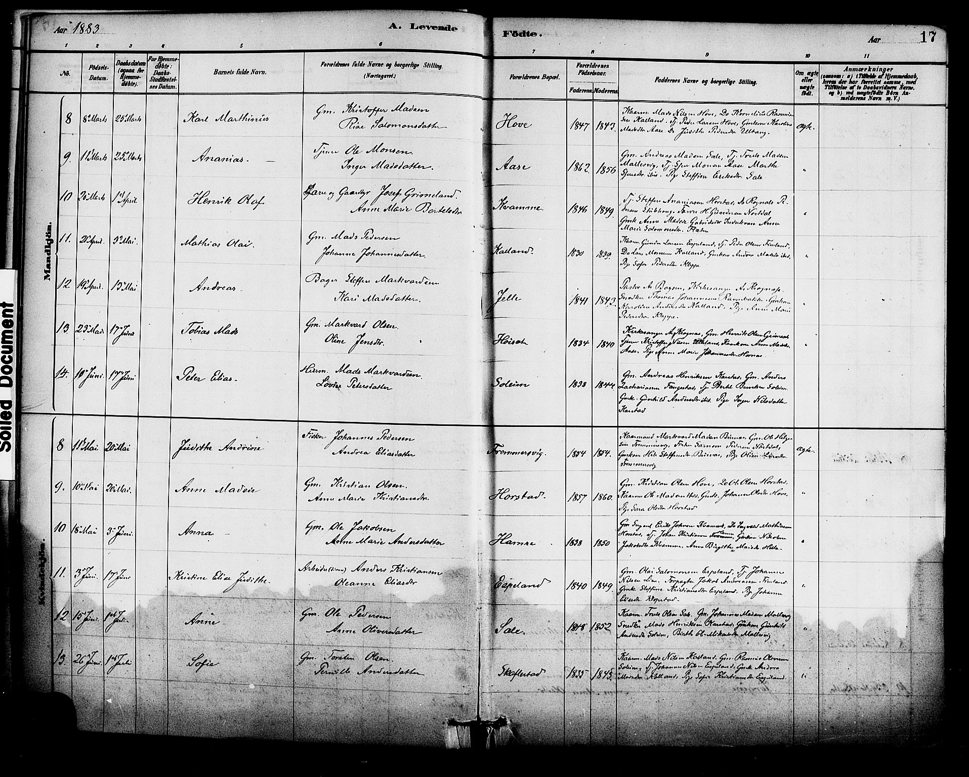 Førde sokneprestembete, AV/SAB-A-79901/H/Haa/Haad/L0001: Parish register (official) no. D 1, 1881-1898, p. 17