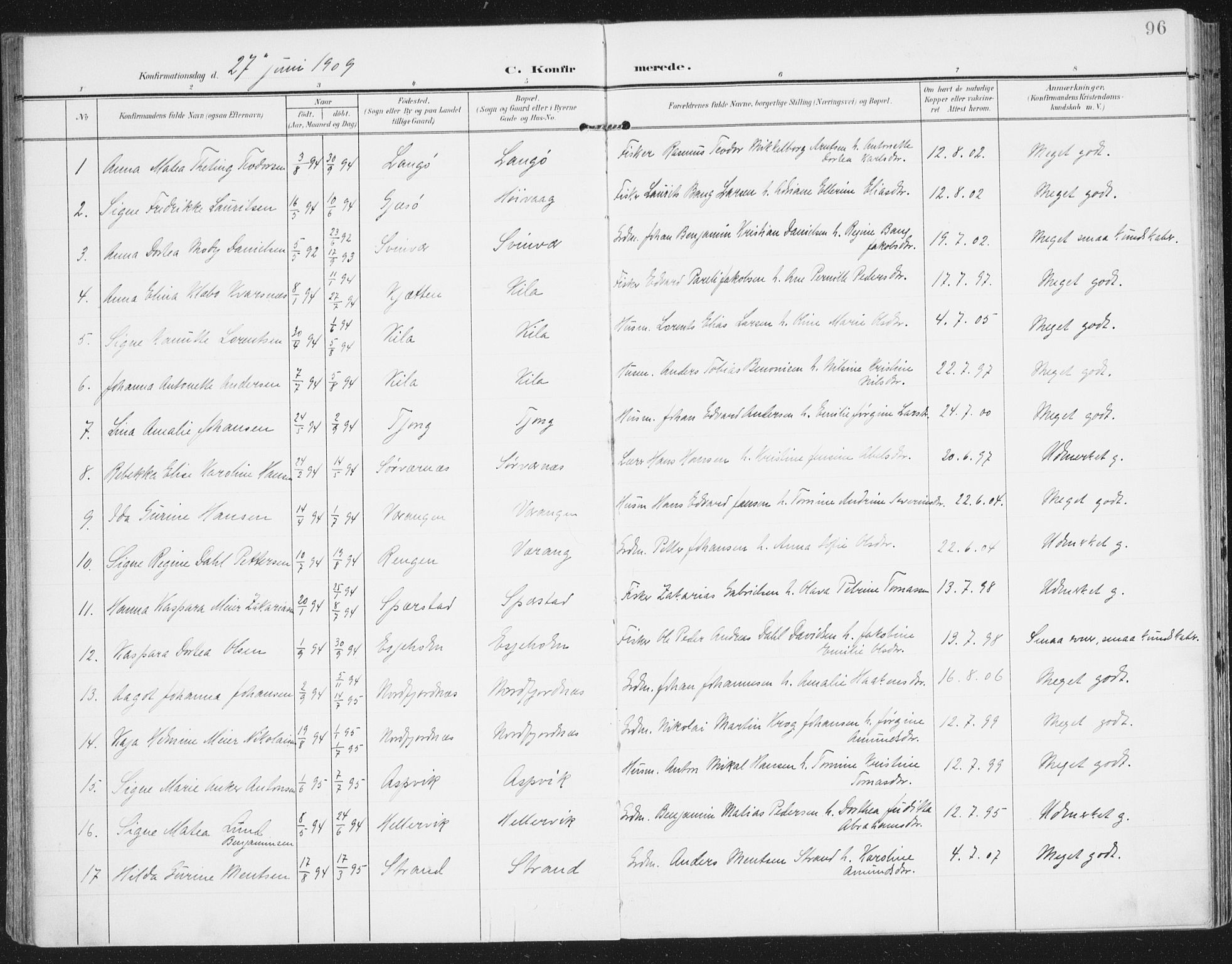 Ministerialprotokoller, klokkerbøker og fødselsregistre - Nordland, AV/SAT-A-1459/841/L0612: Parish register (official) no. 841A15, 1902-1910, p. 96