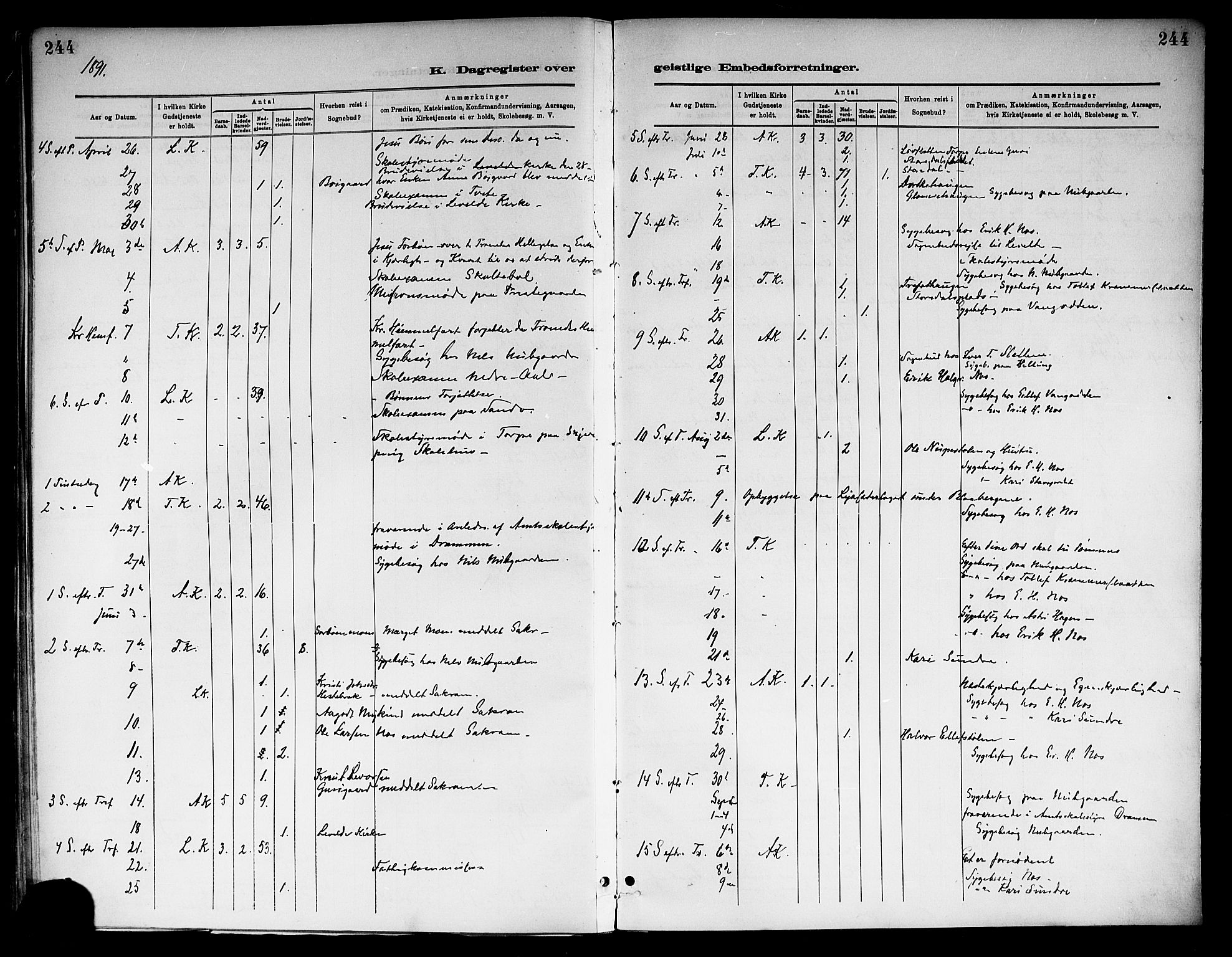 Ål kirkebøker, AV/SAKO-A-249/F/Fa/L0008: Parish register (official) no. I 8, 1882-1896, p. 244