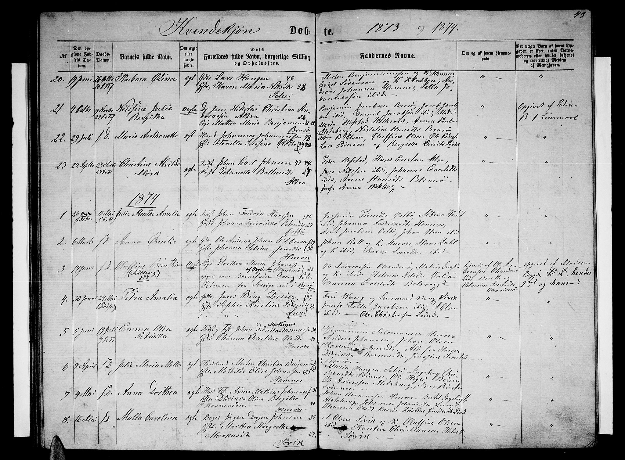Ministerialprotokoller, klokkerbøker og fødselsregistre - Nordland, SAT/A-1459/830/L0461: Parish register (copy) no. 830C03, 1866-1881, p. 43