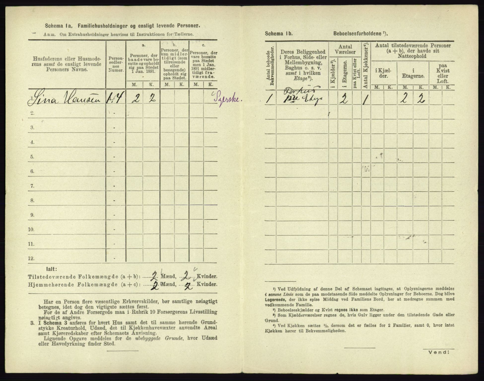 RA, 1891 census for 0602 Drammen, 1891, p. 2250