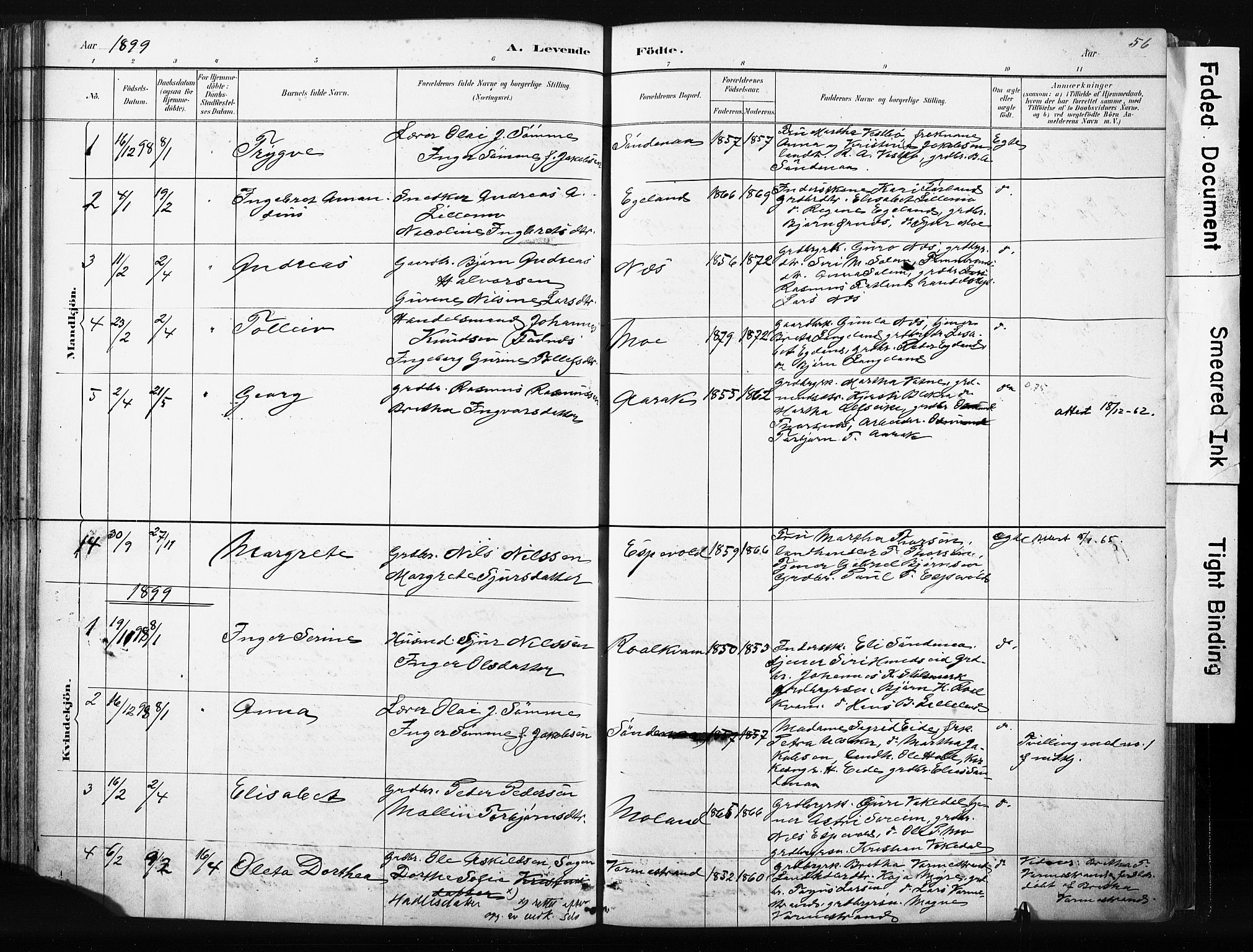 Vikedal sokneprestkontor, AV/SAST-A-101840/01/IV: Parish register (official) no. A 10, 1884-1907, p. 56