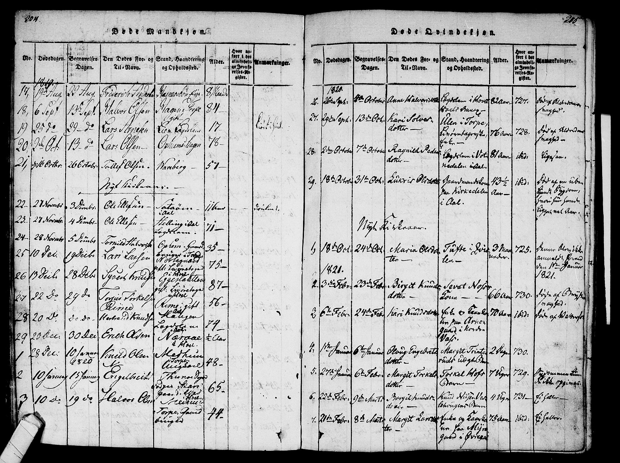 Ål kirkebøker, AV/SAKO-A-249/F/Fa/L0004: Parish register (official) no. I 4, 1815-1825, p. 204-205