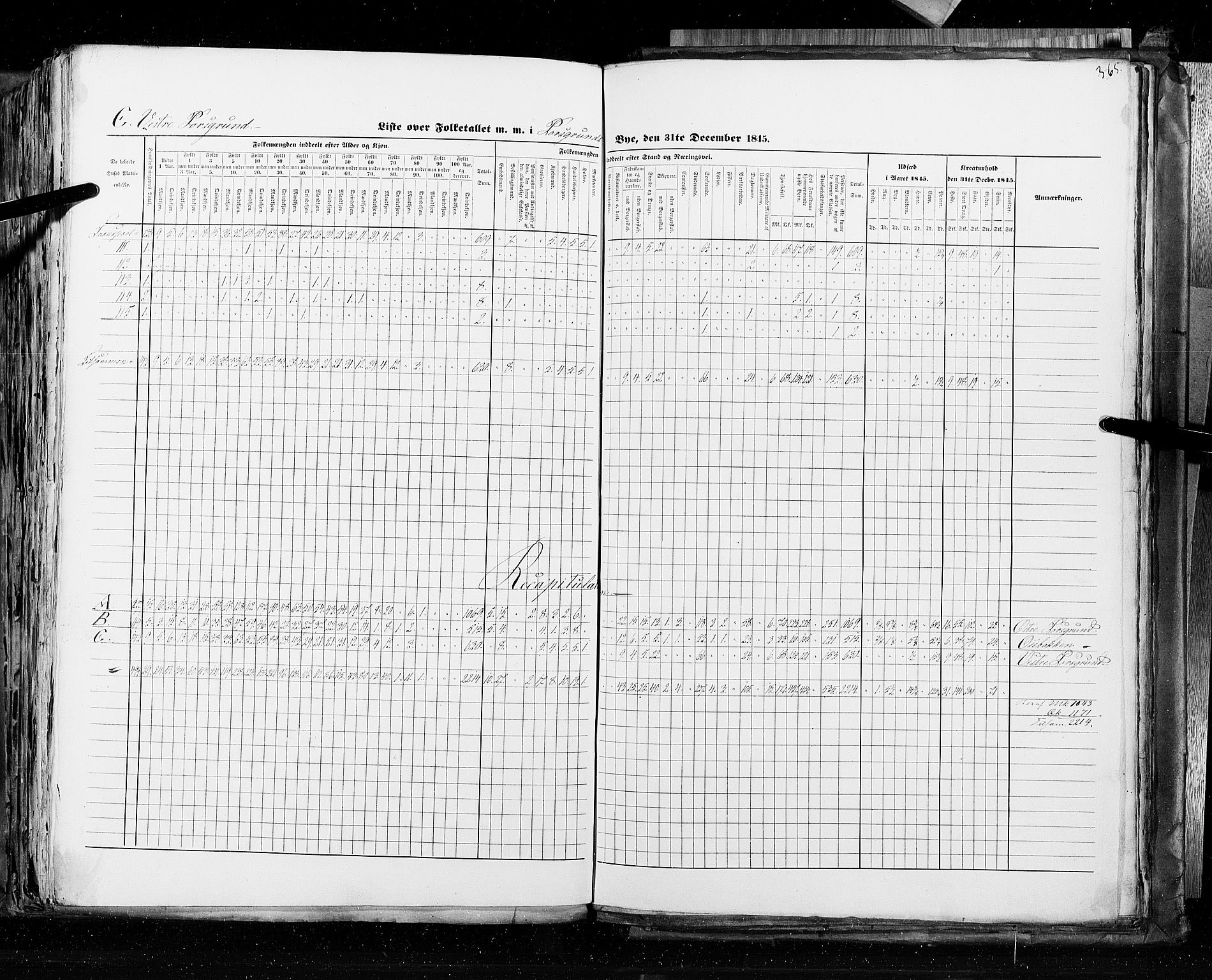 RA, Census 1845, vol. 10: Cities, 1845, p. 365