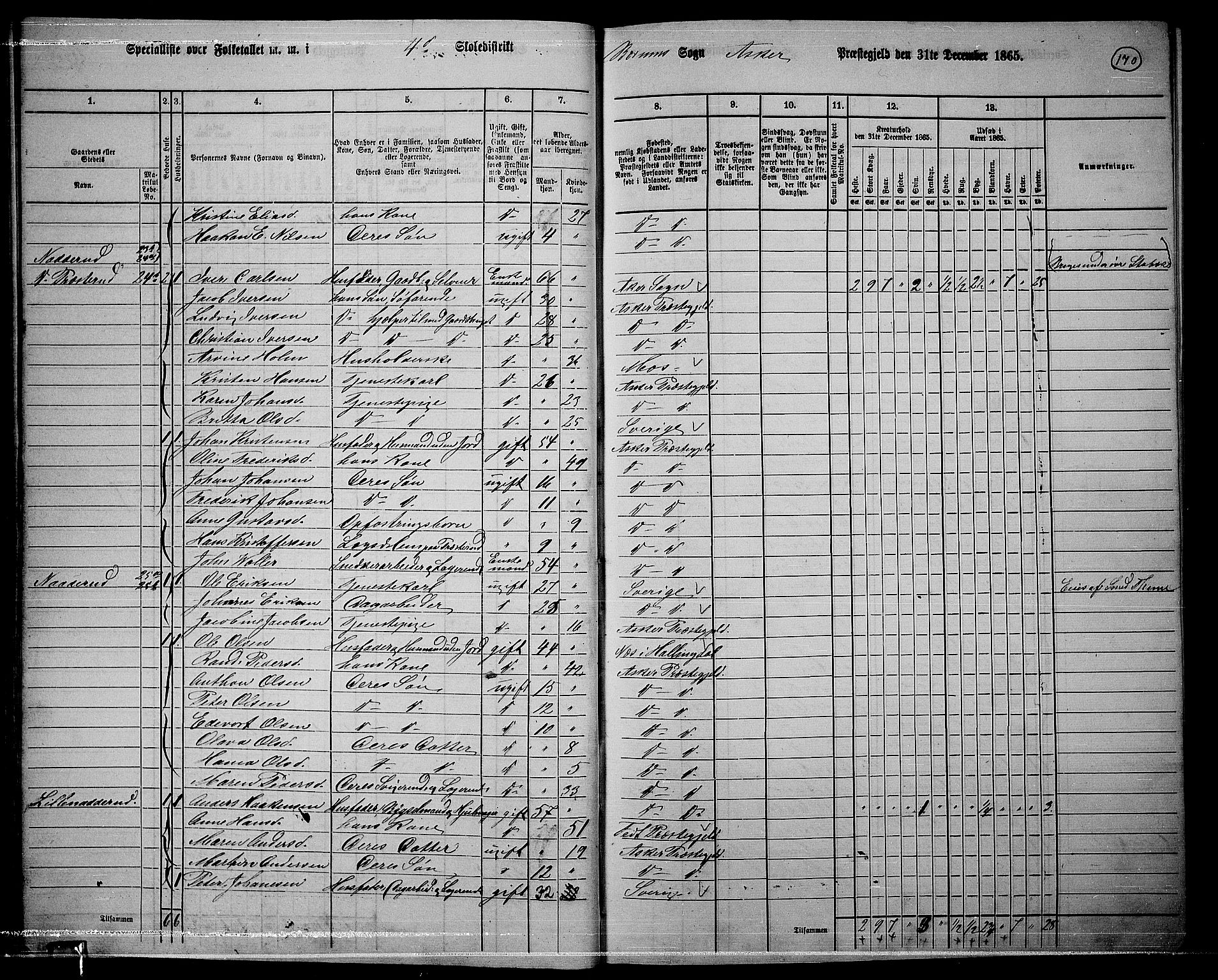 RA, 1865 census for Asker, 1865, p. 167