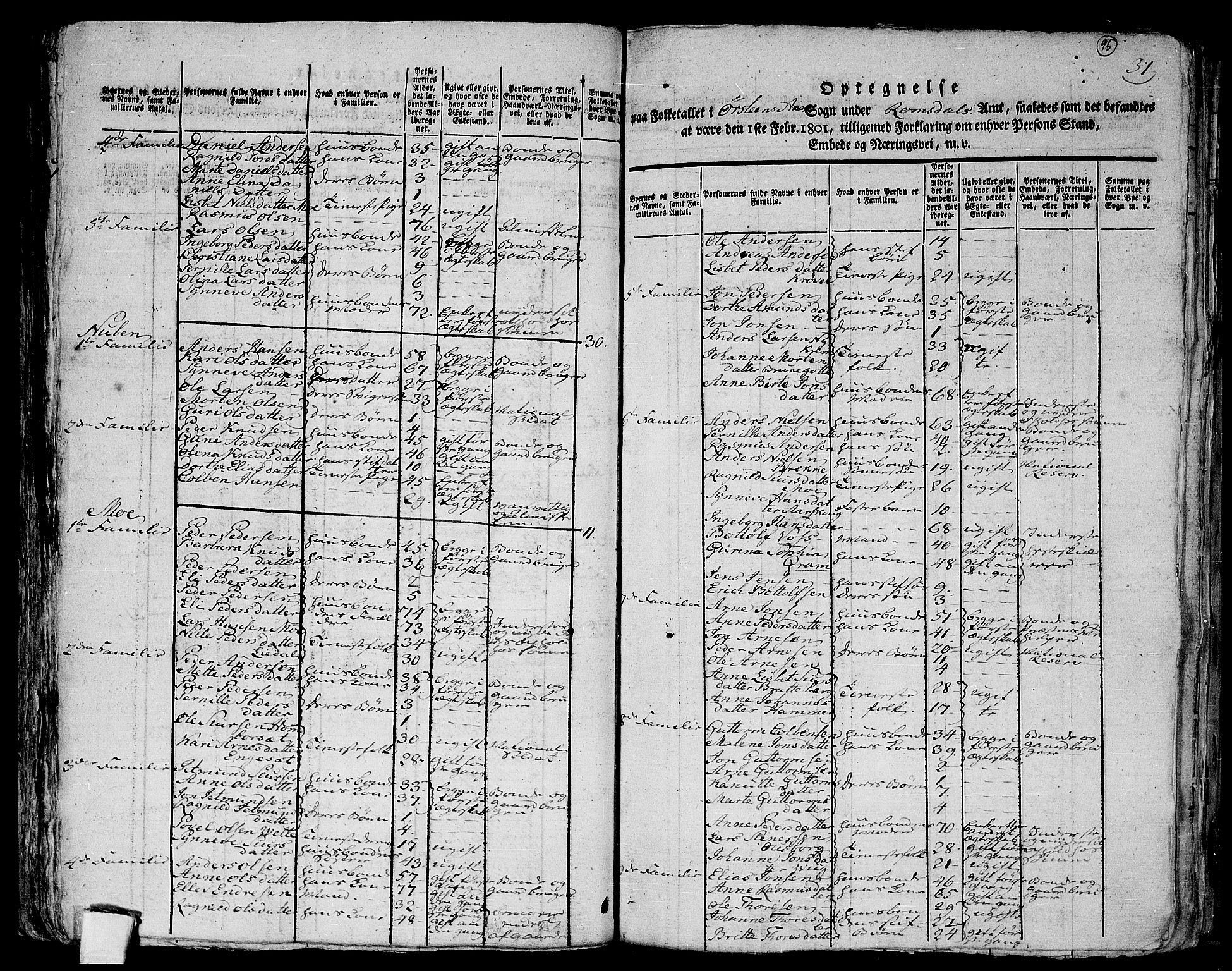 RA, 1801 census for 1519P Volda, 1801, p. 94b-95a