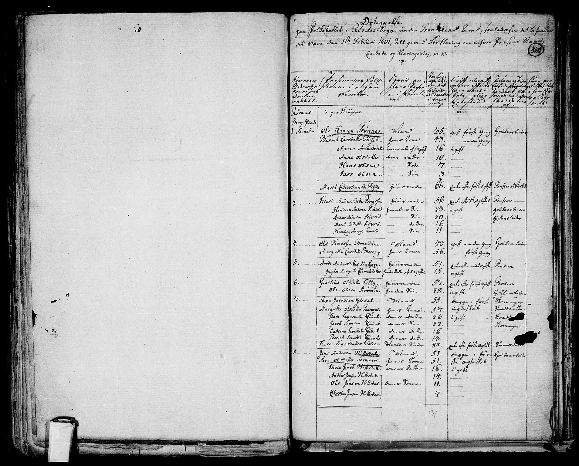 RA, 1801 census for 1640P Røros, 1801, p. 364b-365a