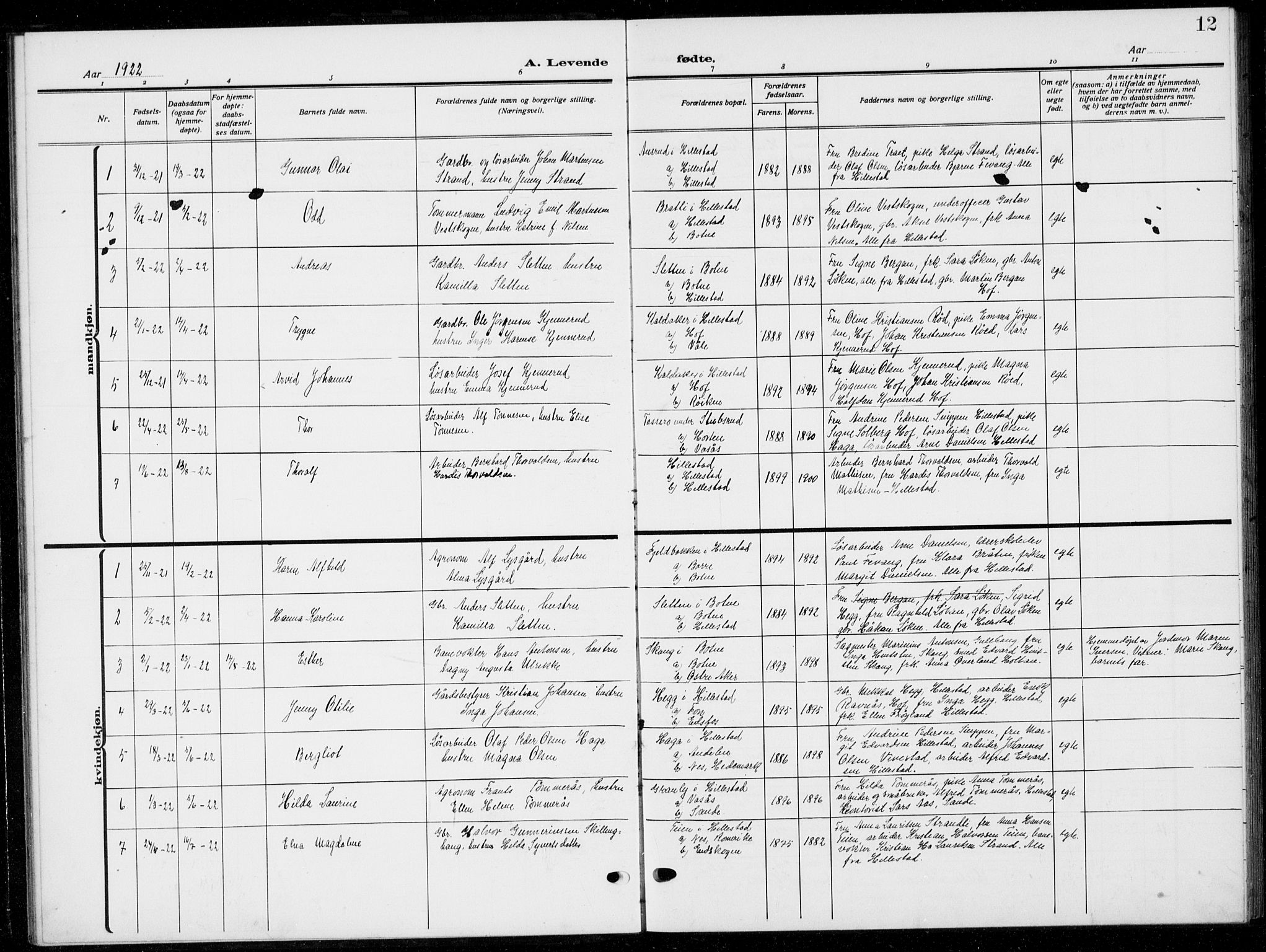 Botne kirkebøker, AV/SAKO-A-340/G/Gb/L0005: Parish register (copy) no. II 5, 1918-1936, p. 12